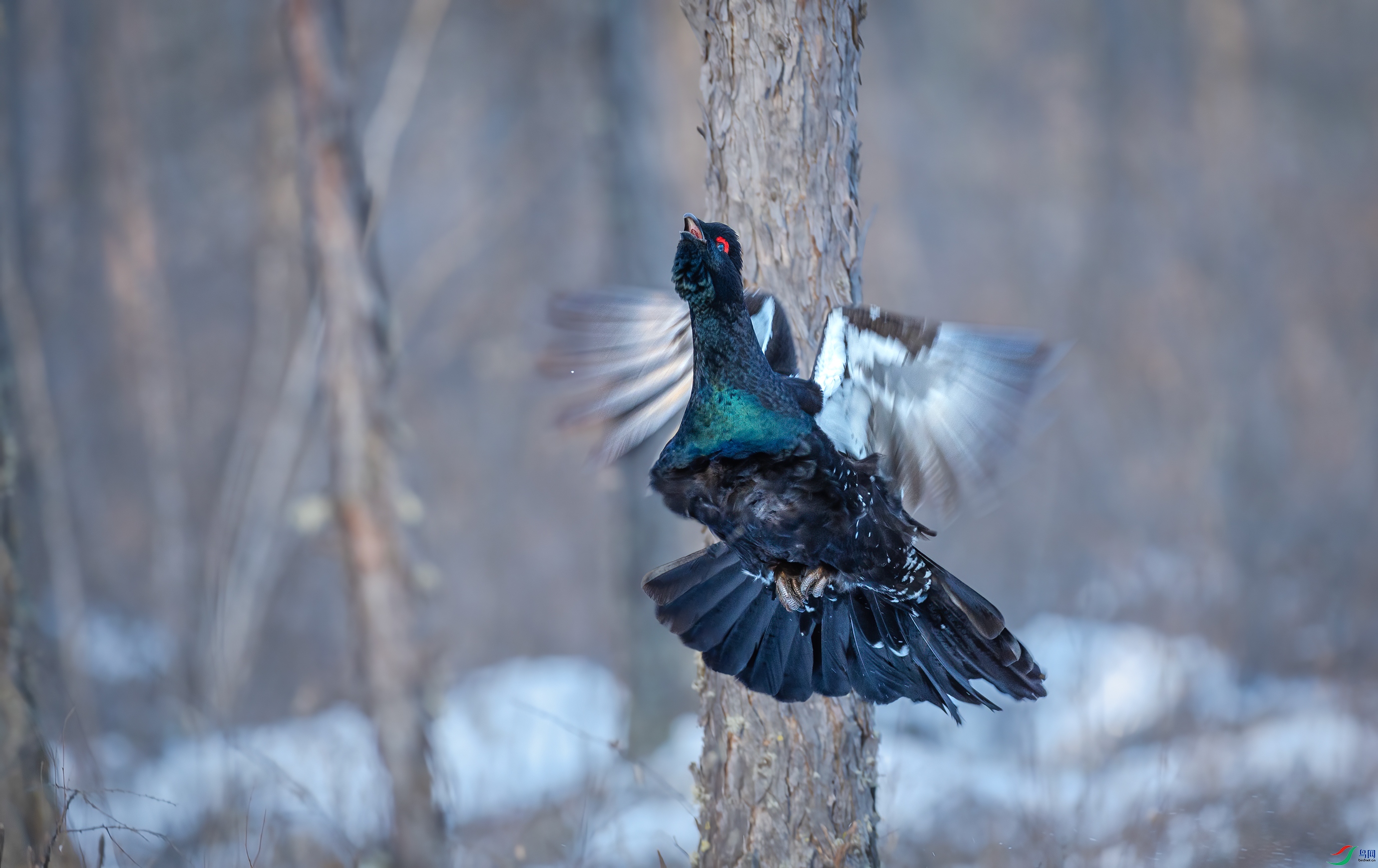 Ϊ�����0C4A7523.jpg