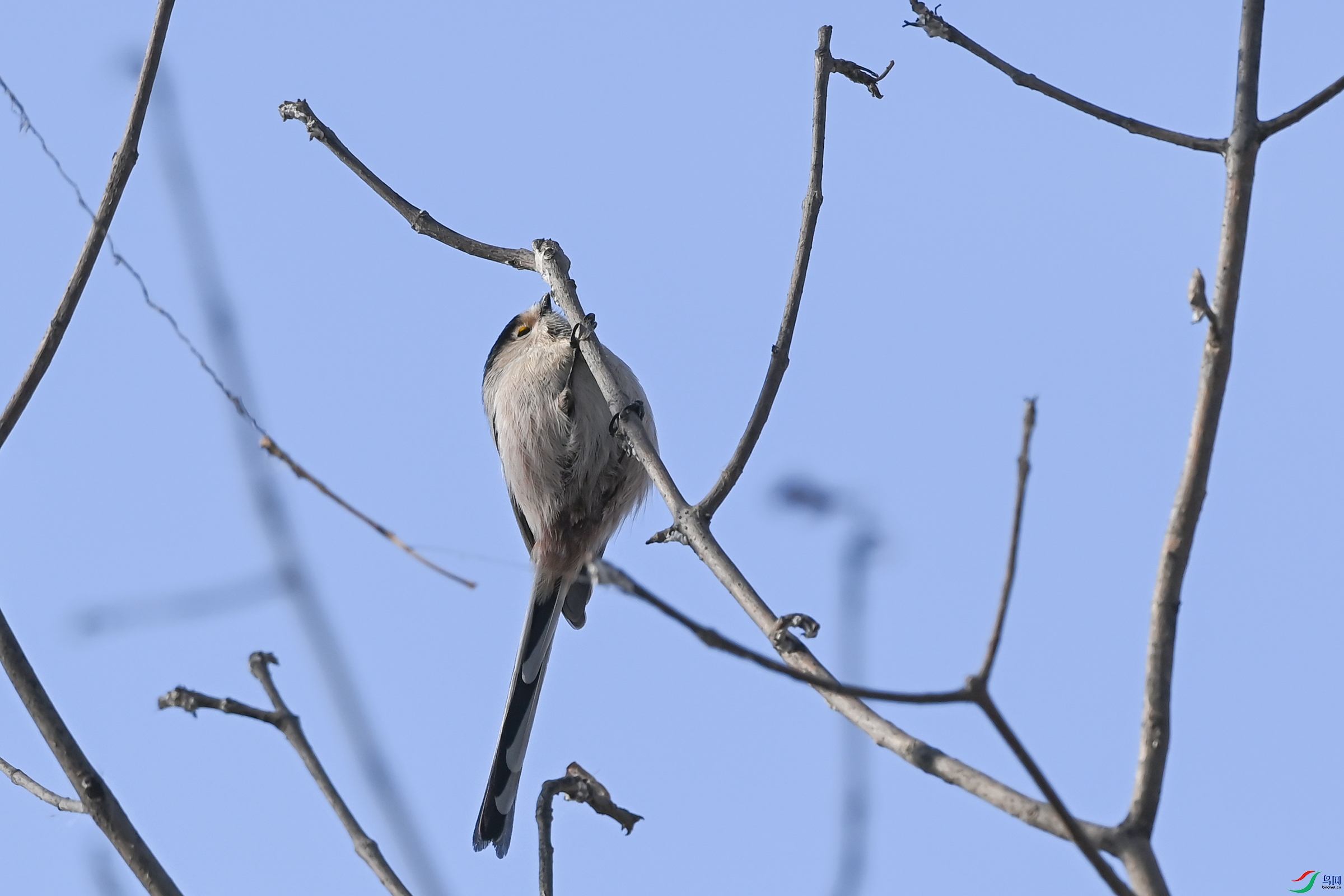 DSC_3502.jpg
