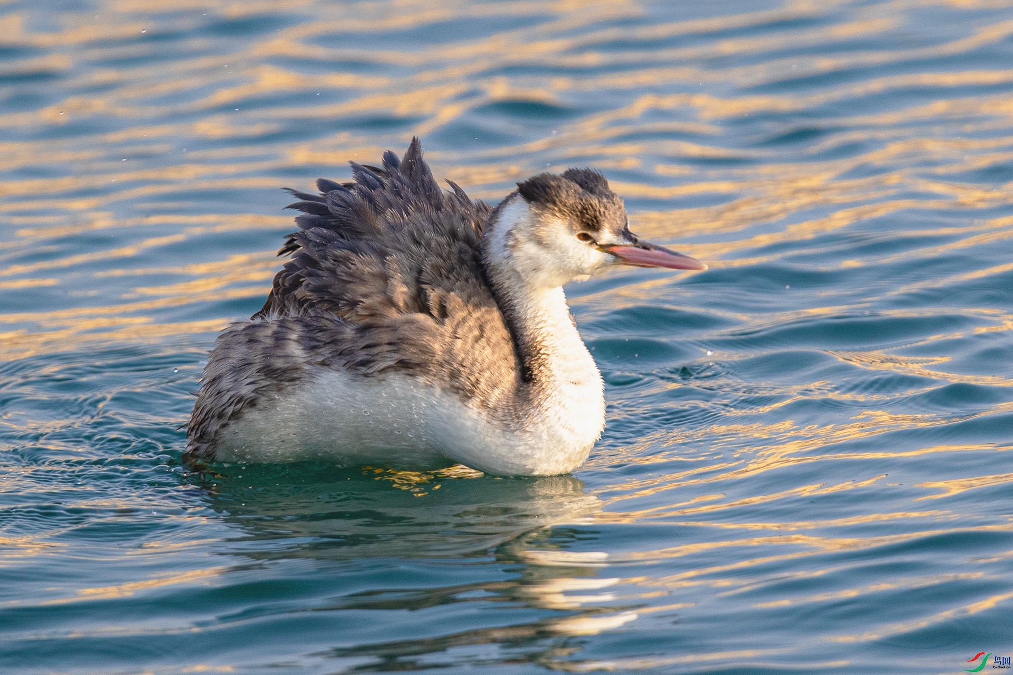 _90I5111 ����.jpg