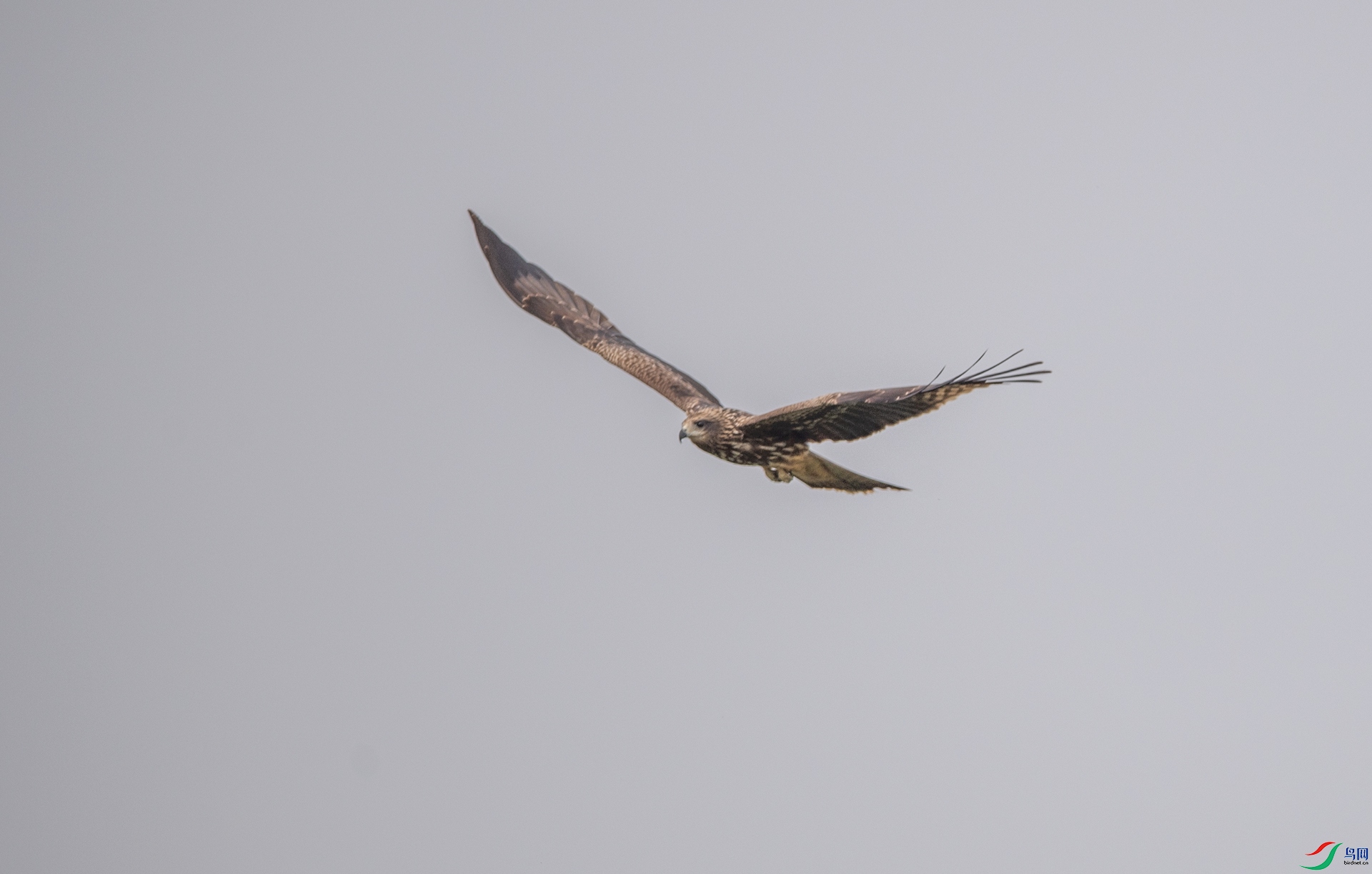 DSC_2814.jpg