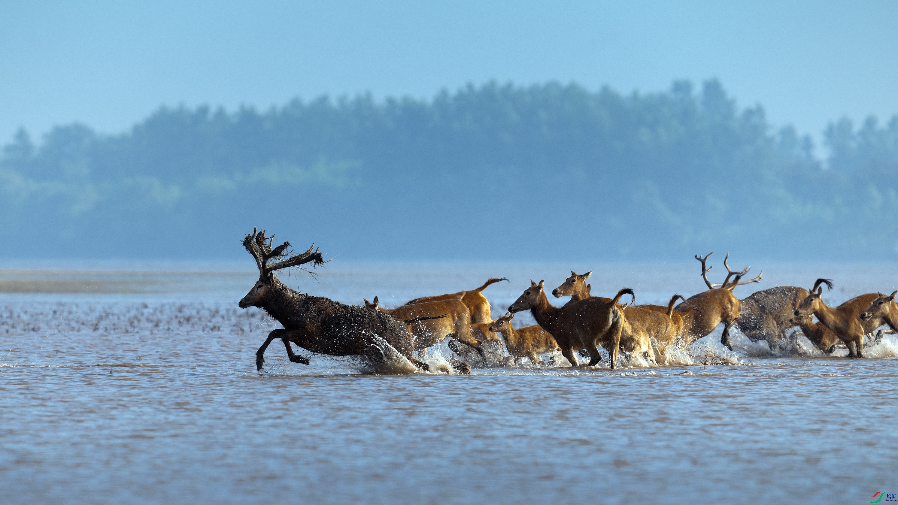 _DSC7237 ����.jpg