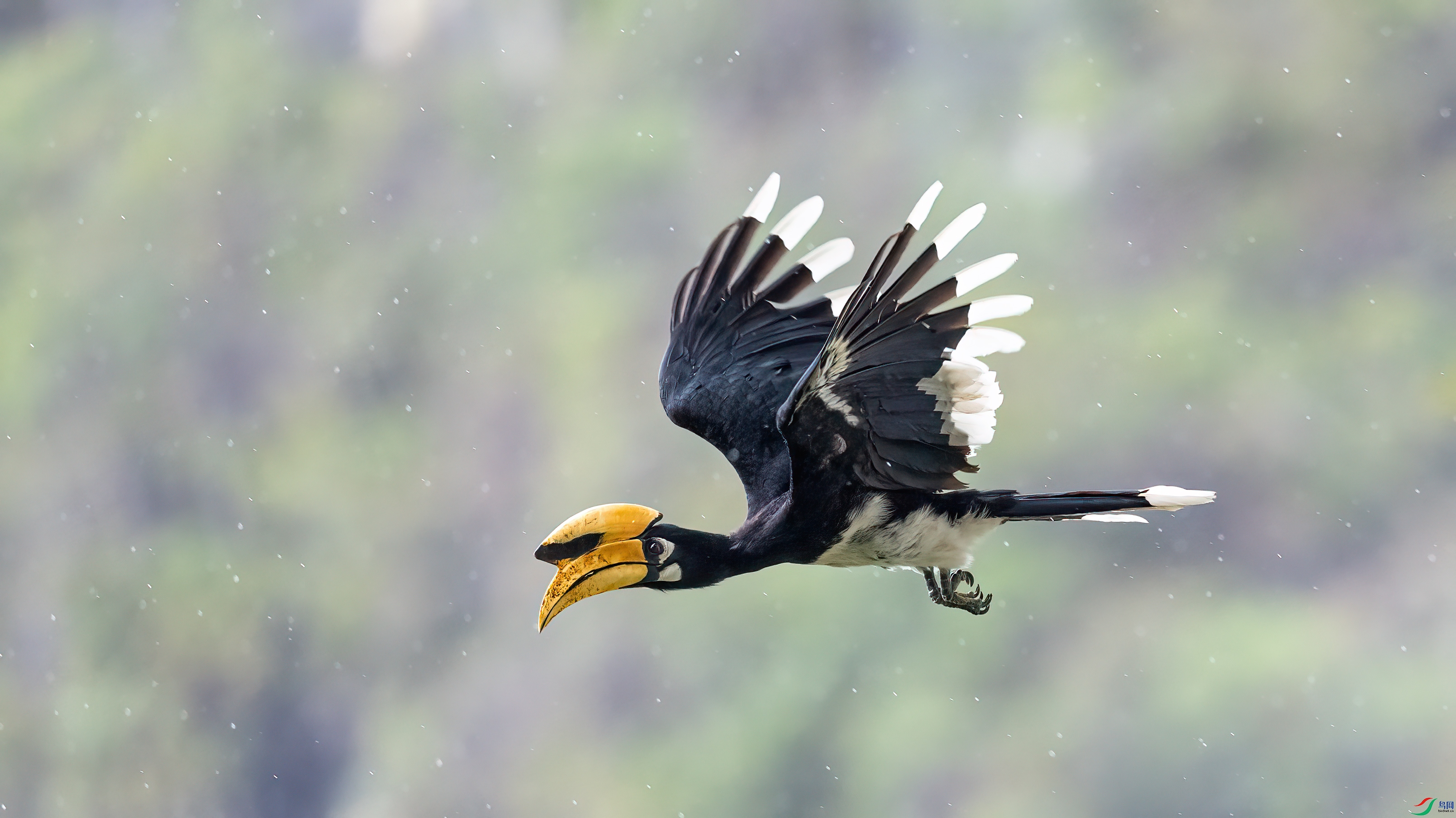 0G4A6520 ����.jpg