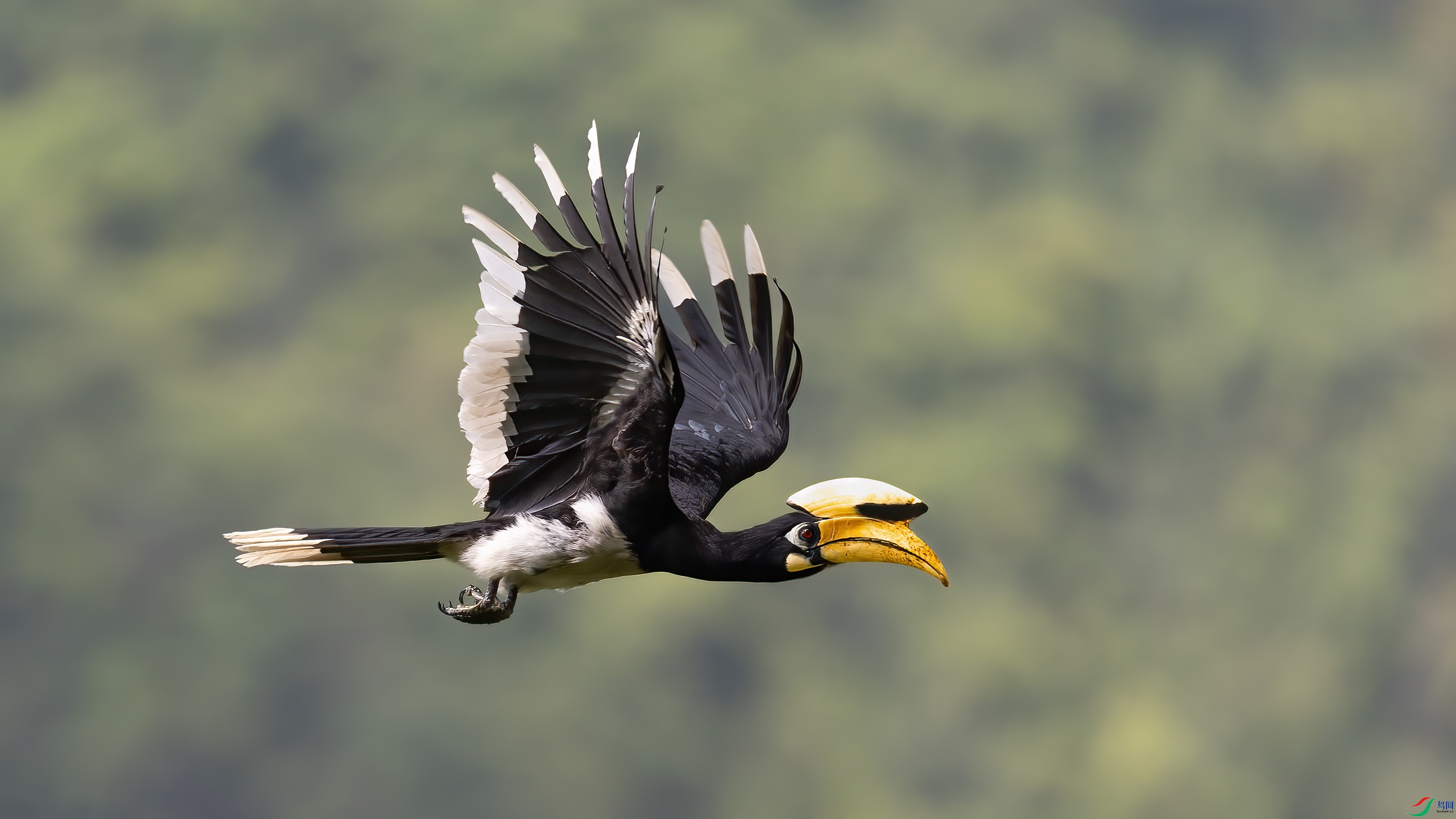 0G4A6602 ����.jpg