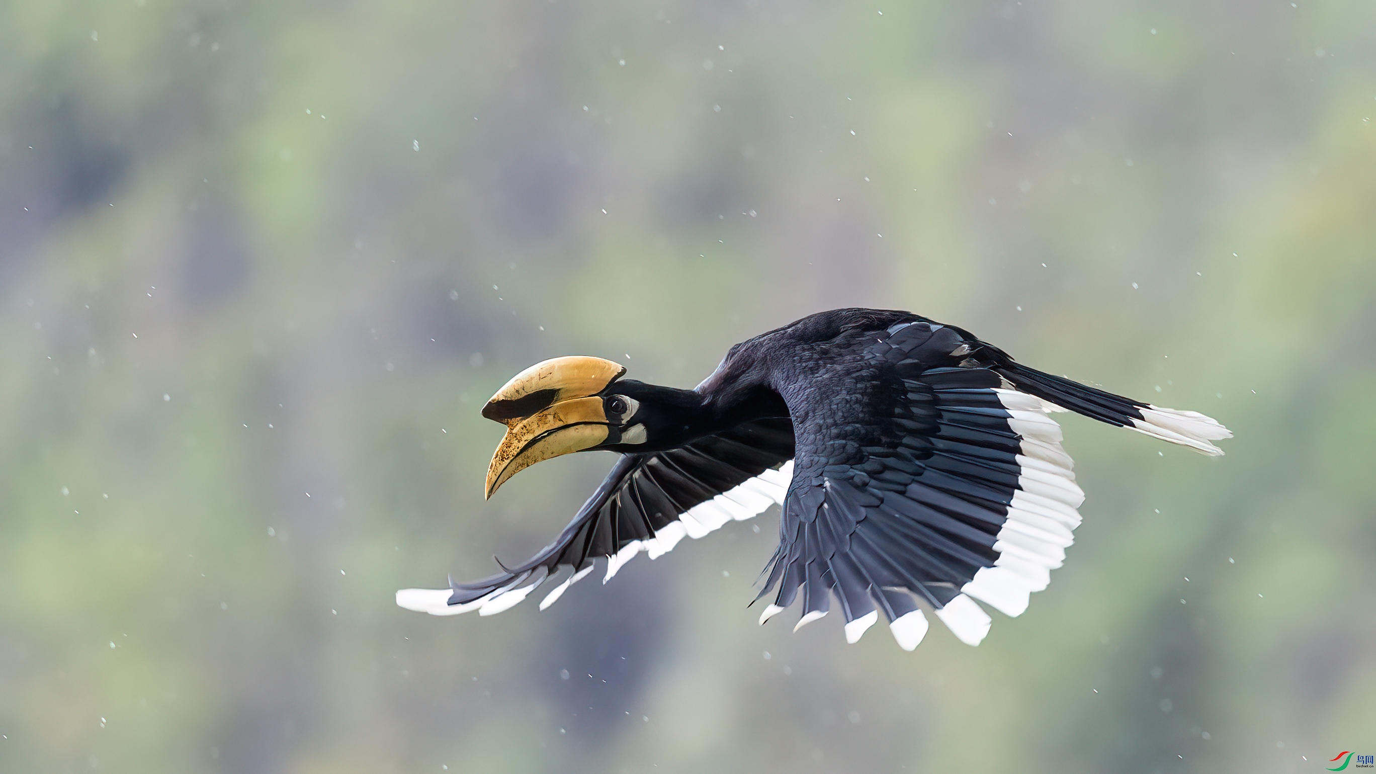 0G4A6522 ����.jpg