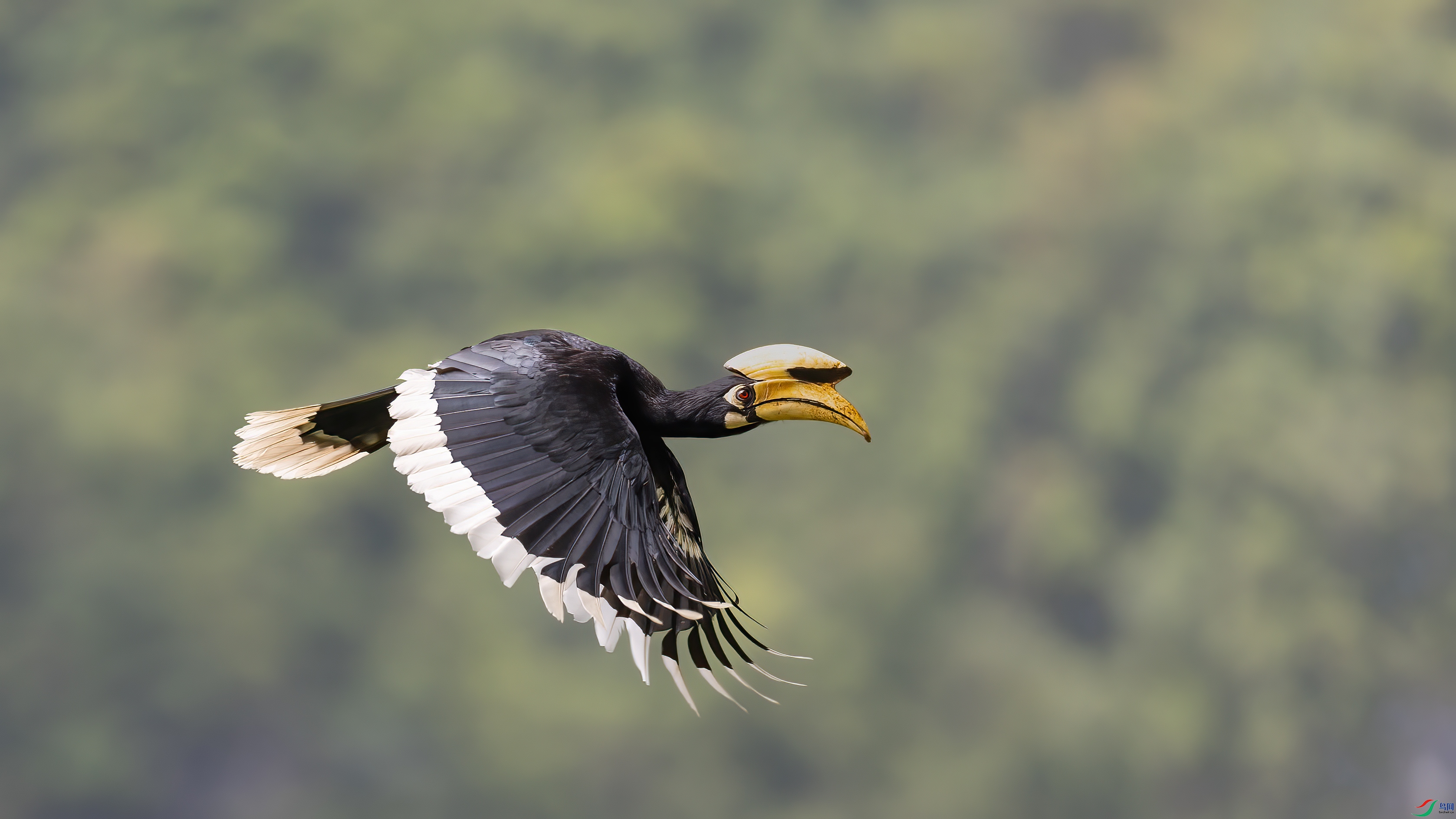 0G4A6604 ����.jpg