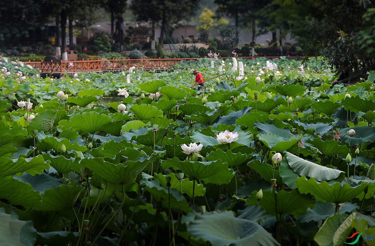 0000IMG_0009 ���� 1001k.jpg