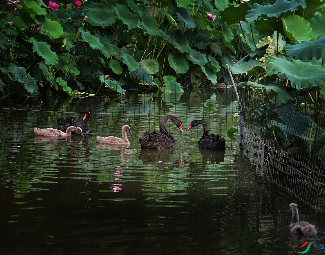 0000IMG_0056 ����999k.jpg