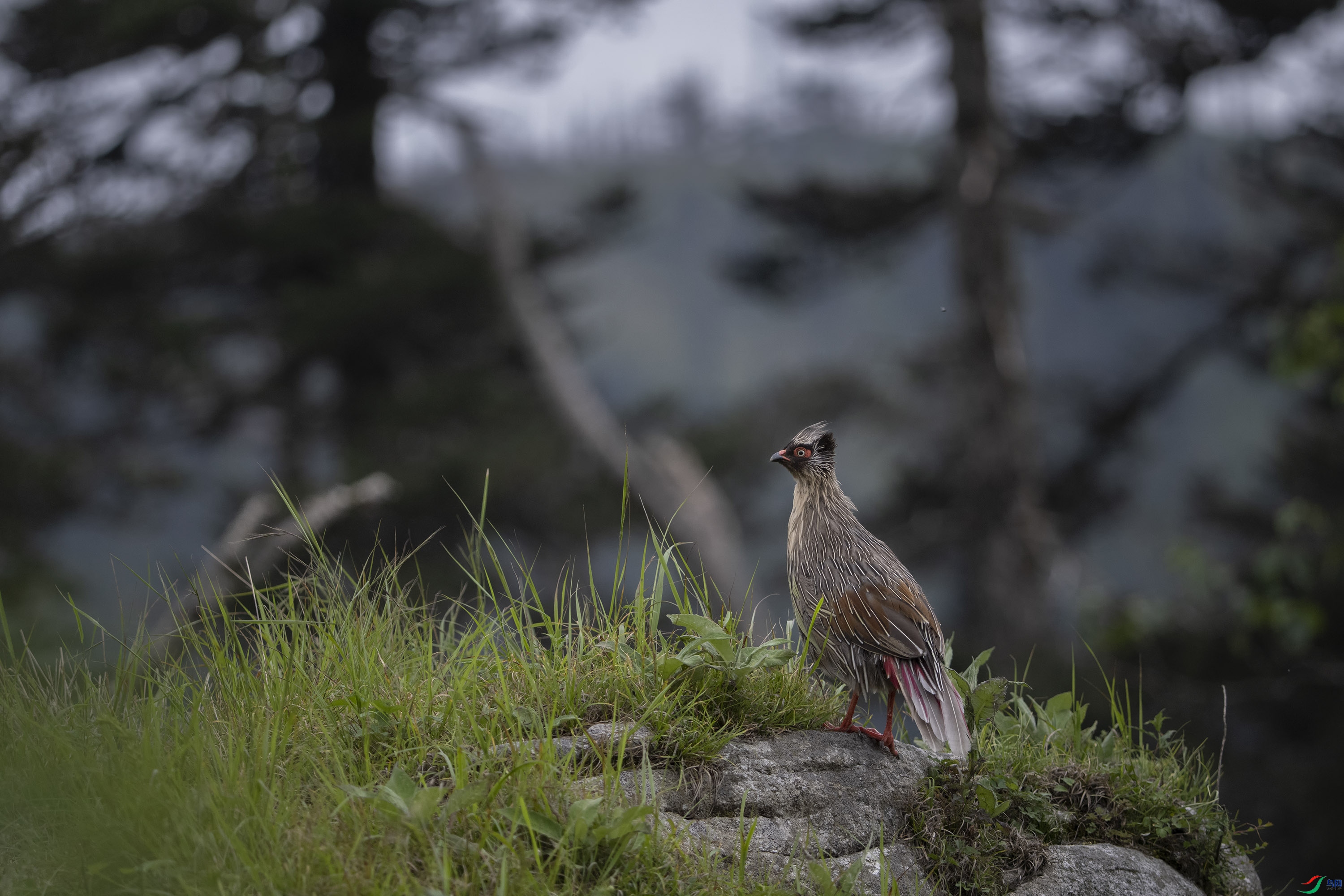 DSC_7197 ���� 2.jpg