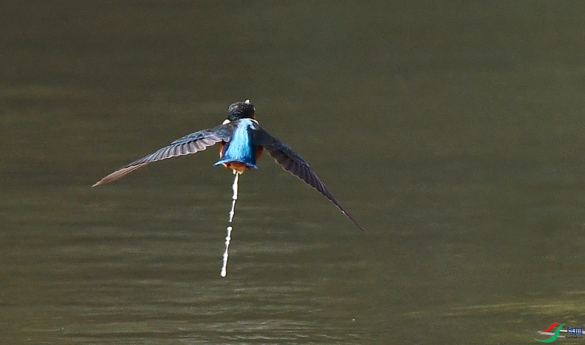 DSC_8037.JPG