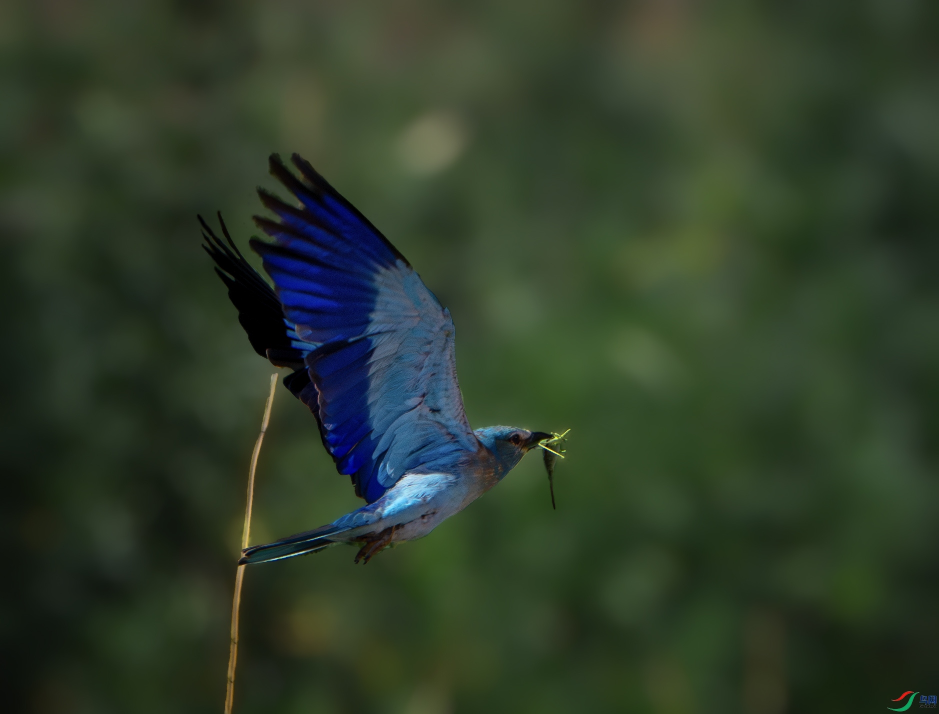 DSC07548-����ǿ-NR ����_124113.jpg