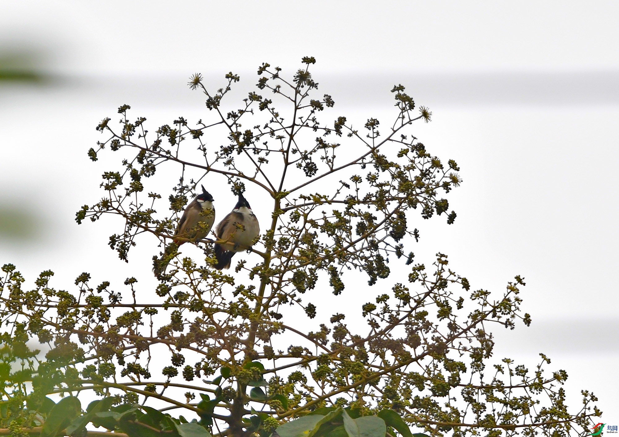 DSC_9958.JPG