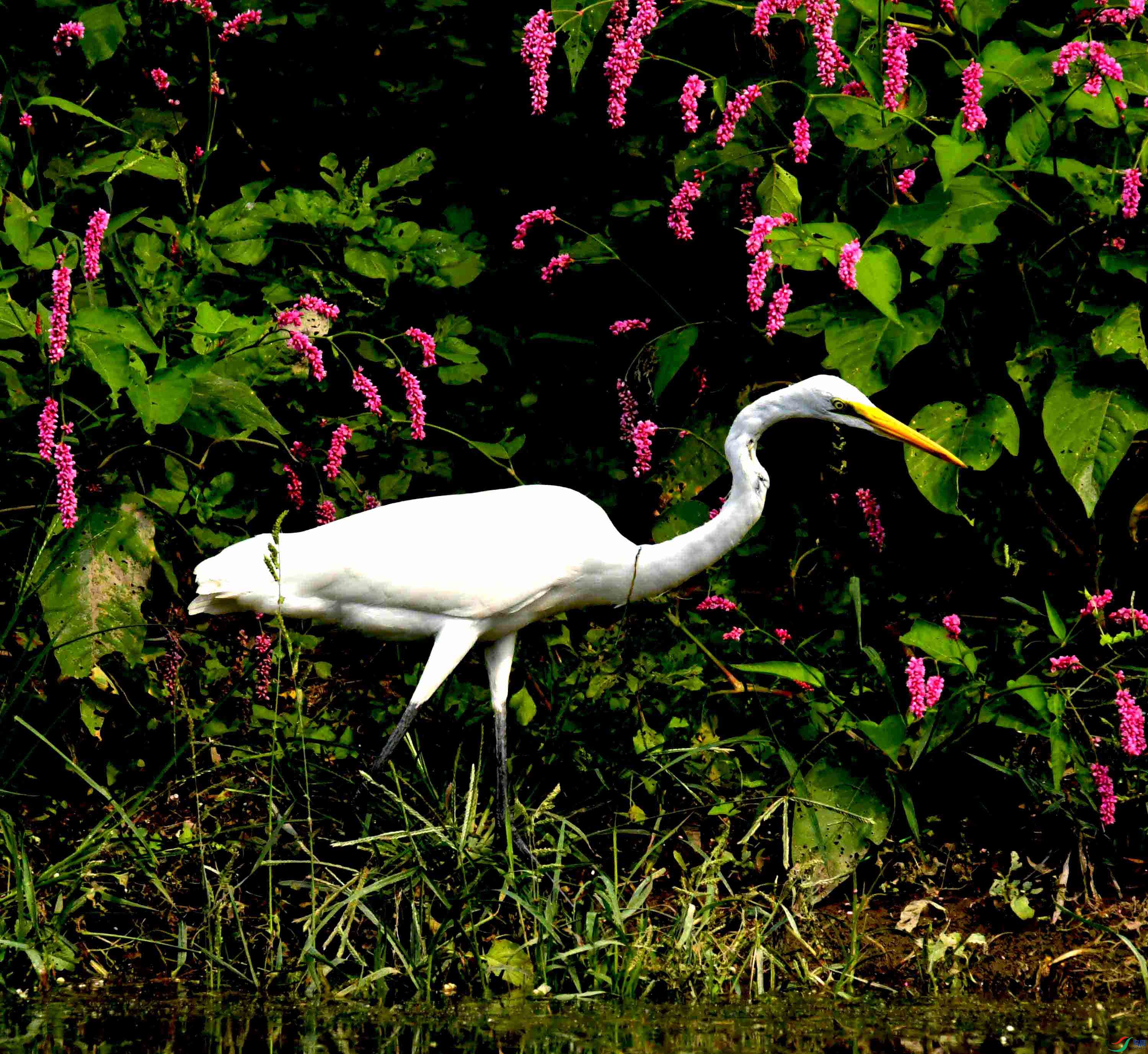 DSC_6844.JPG