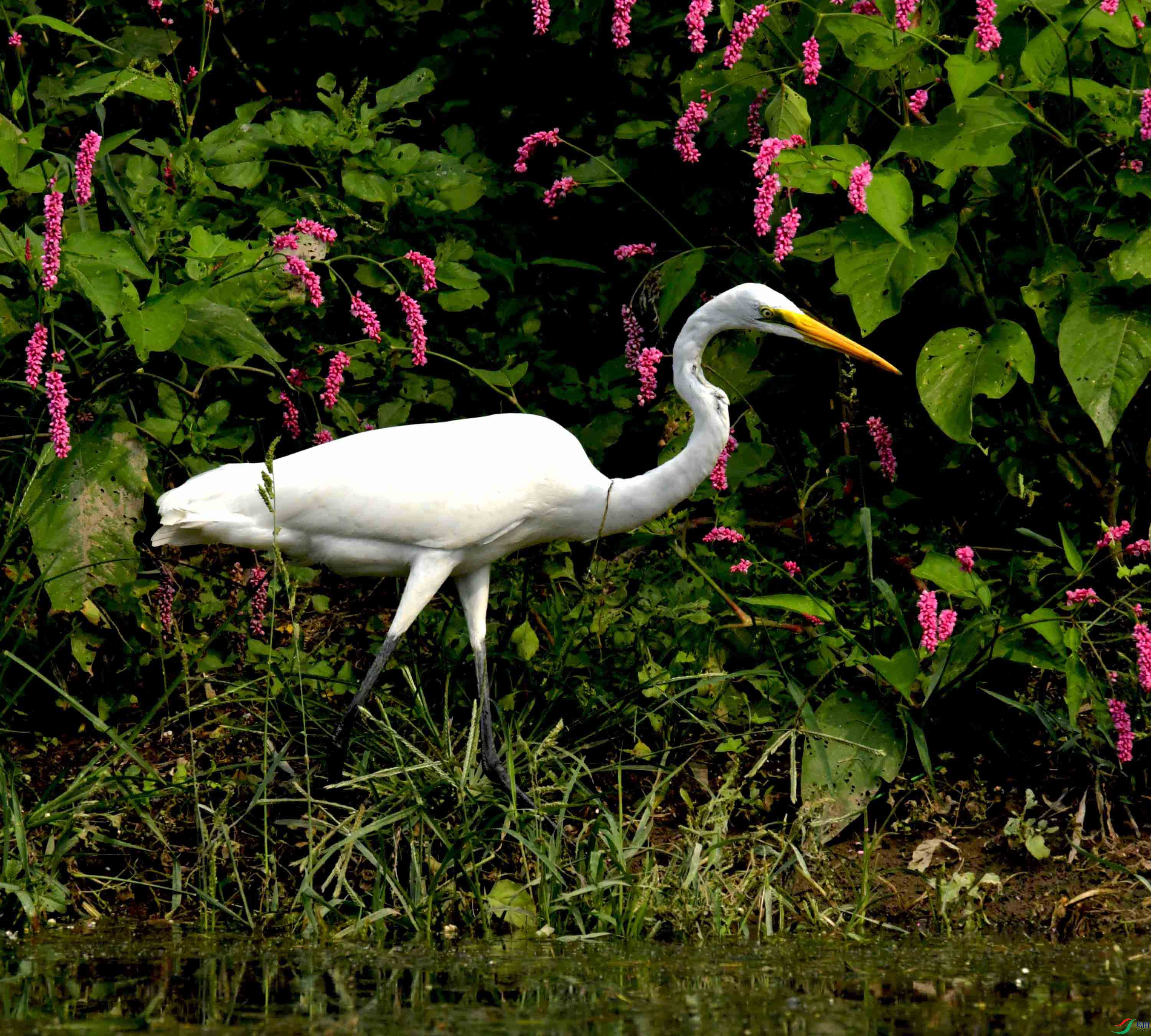 DSC_6843.JPG