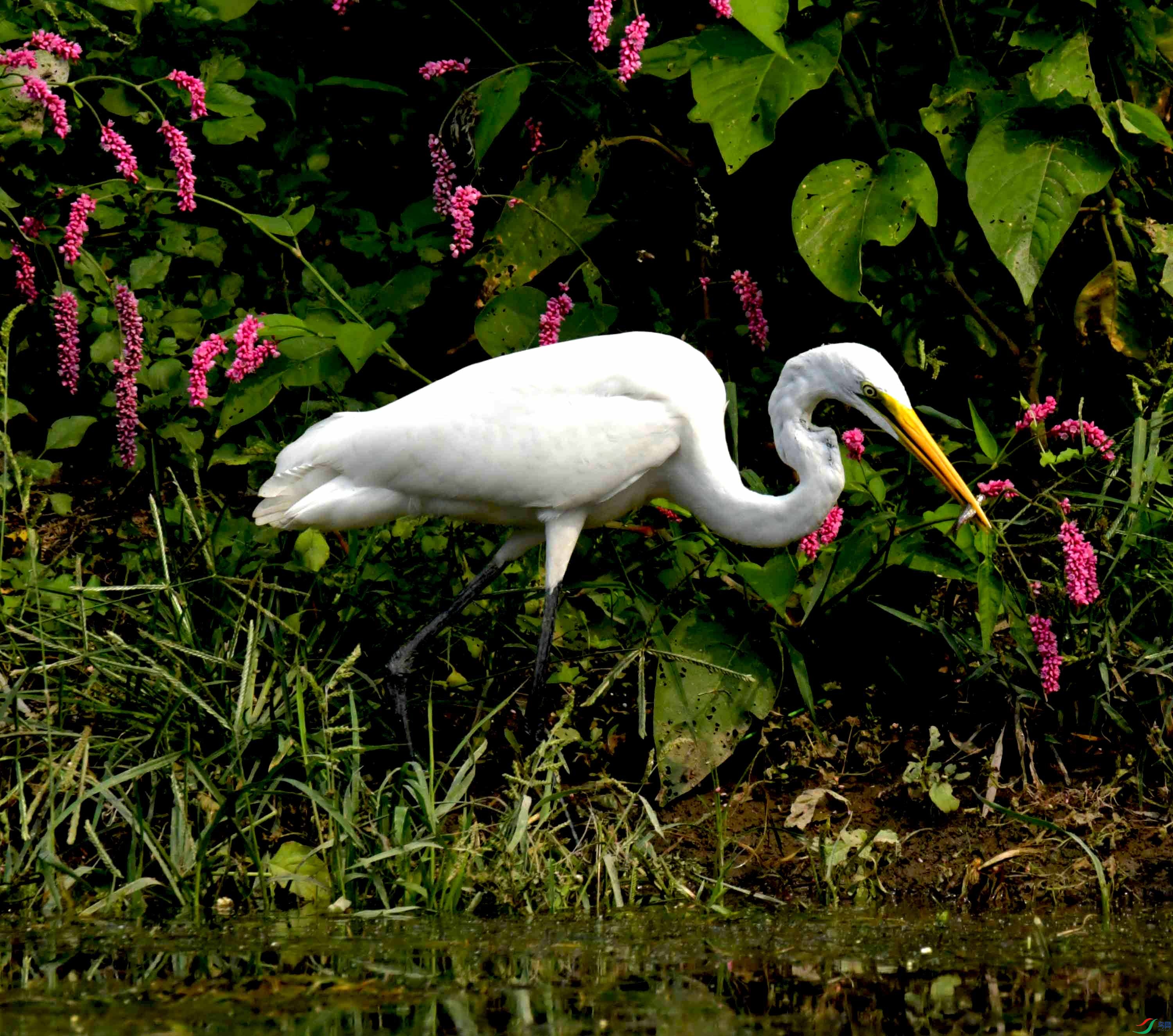 DSC_6852.JPG
