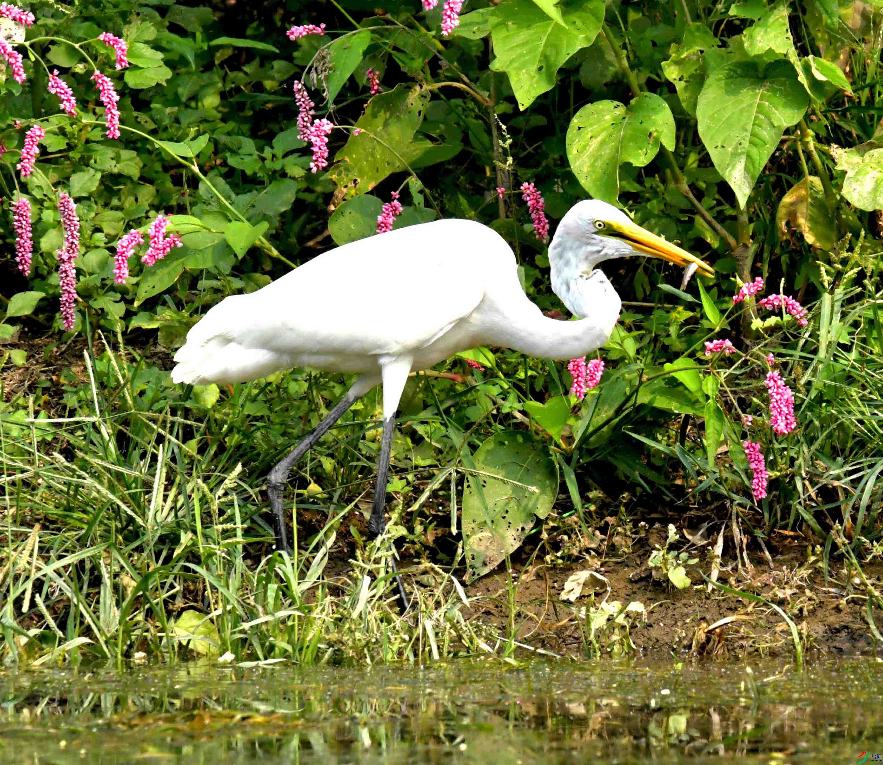 DSC_6853.JPG