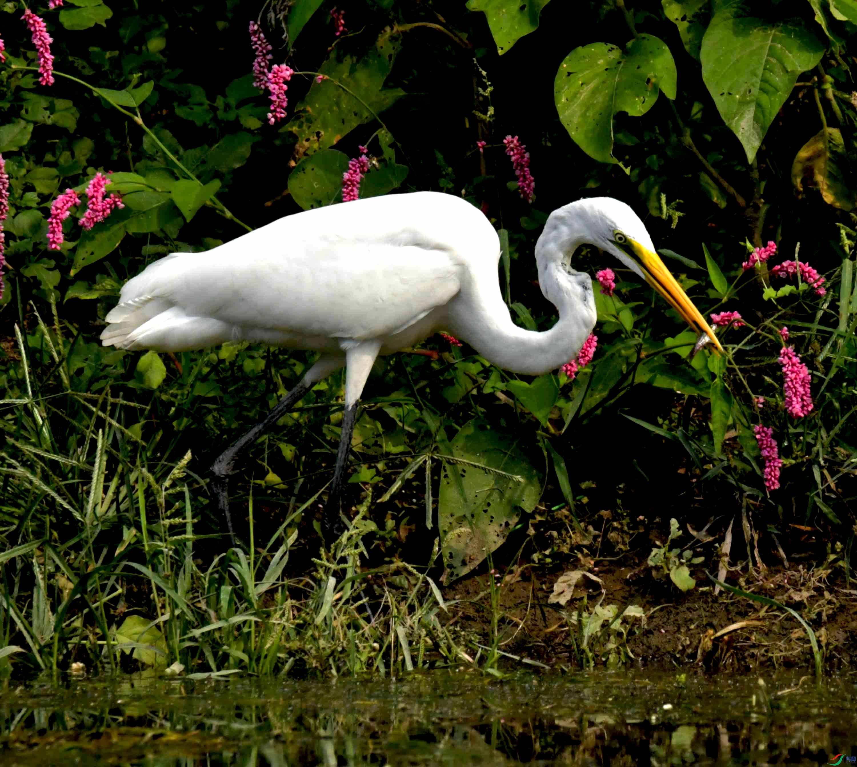 DSC_6851.JPG
