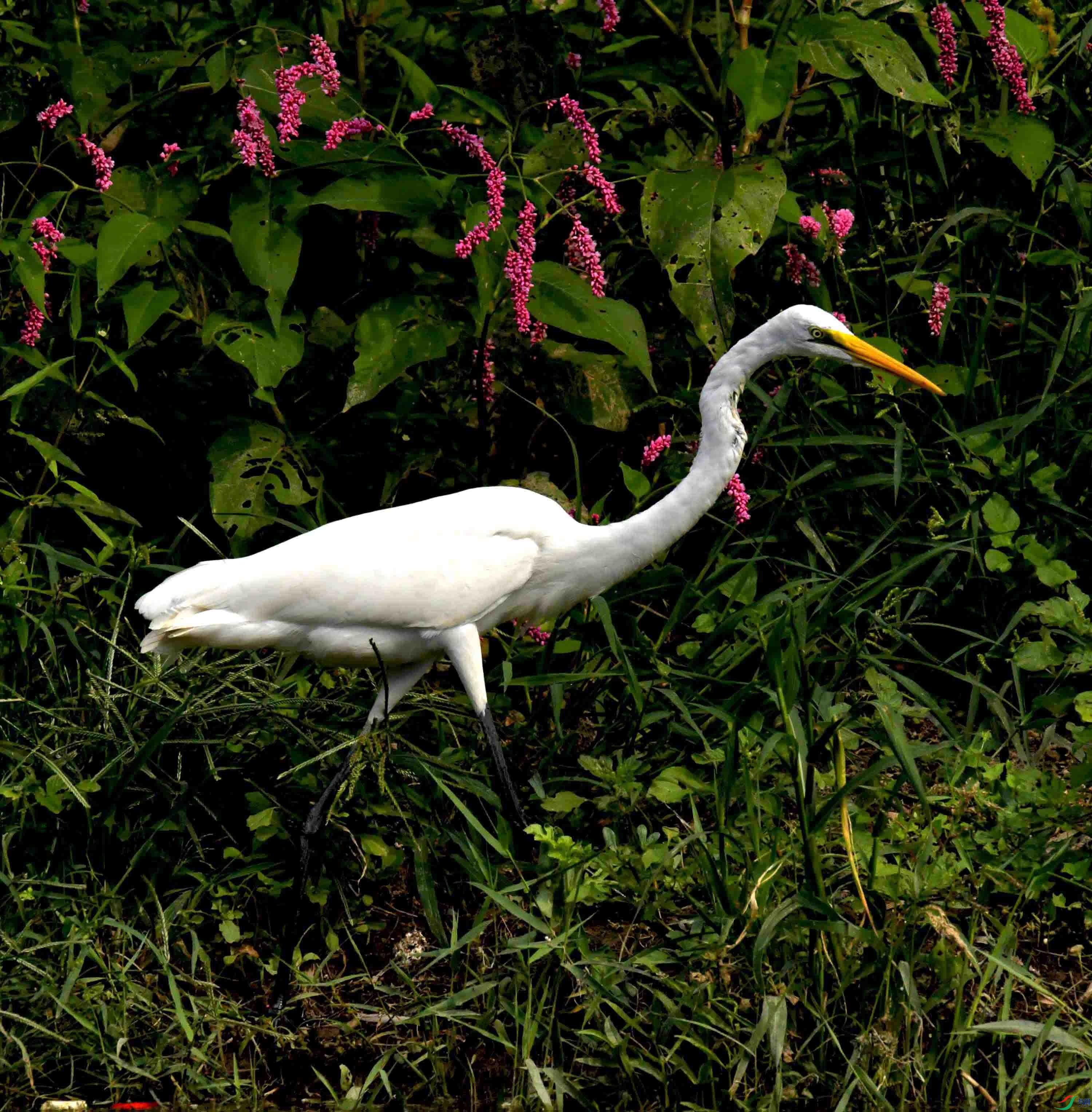 DSC_6858.JPG