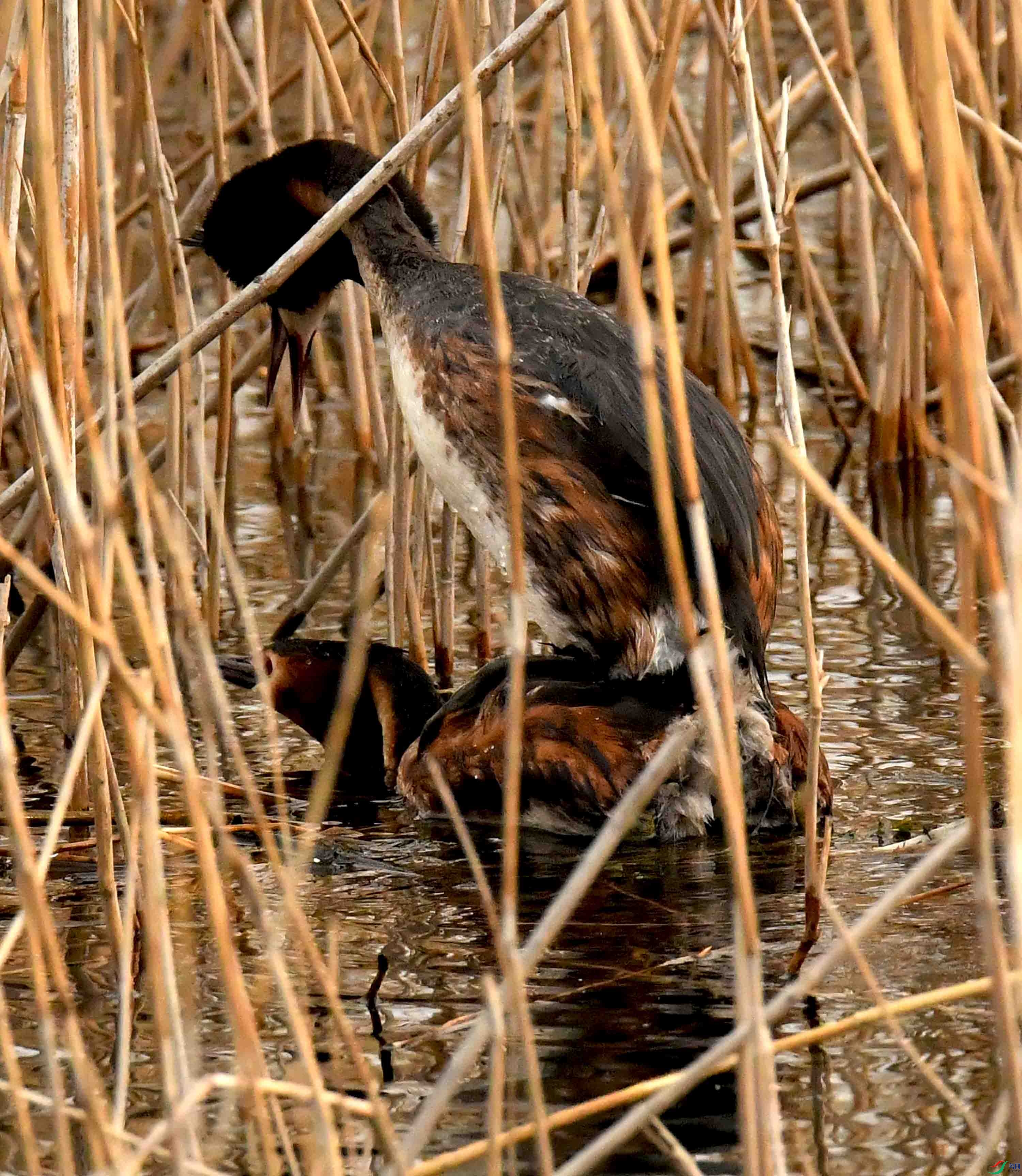DSC_2781.JPG