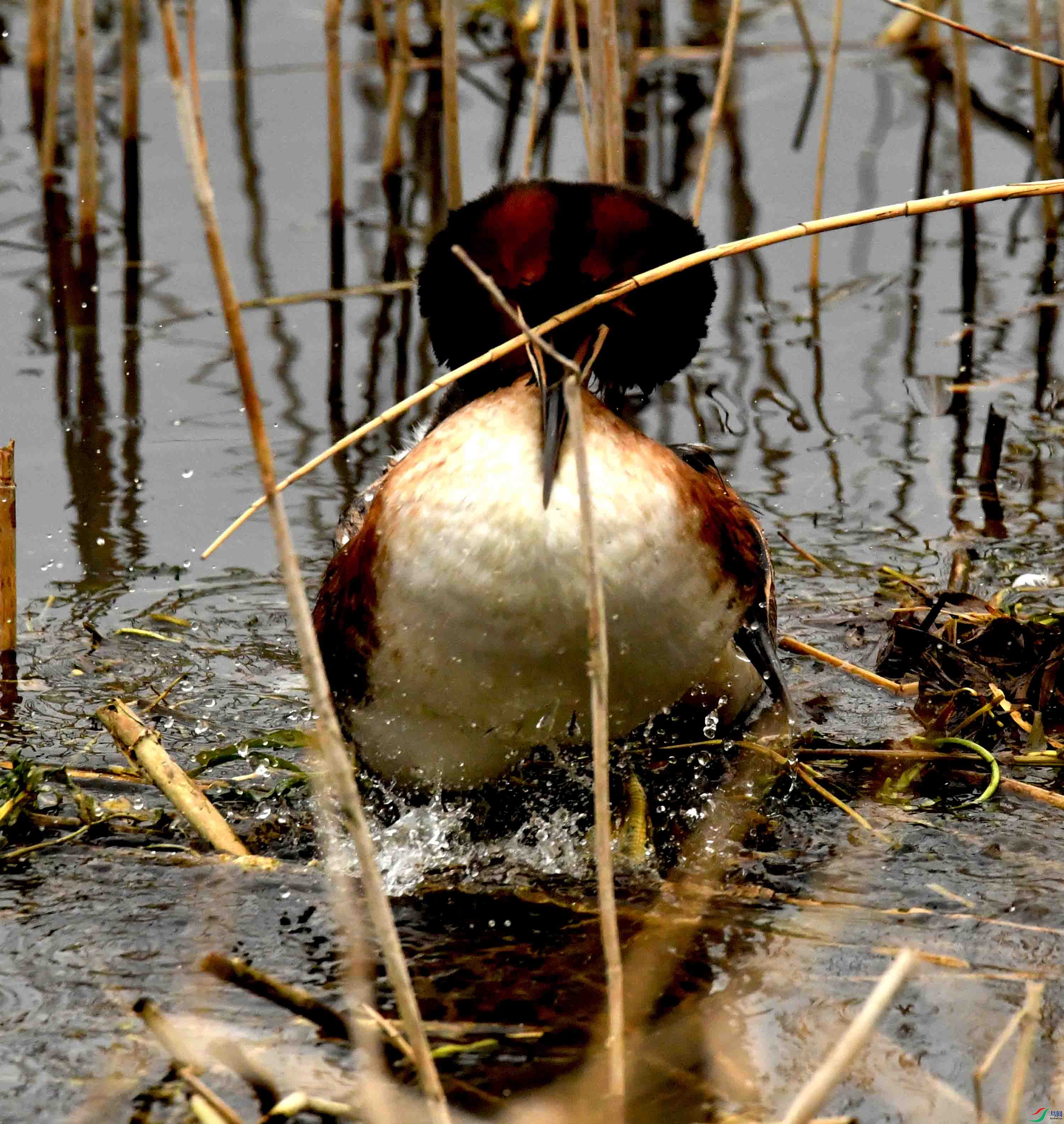 DSC_3300.JPG