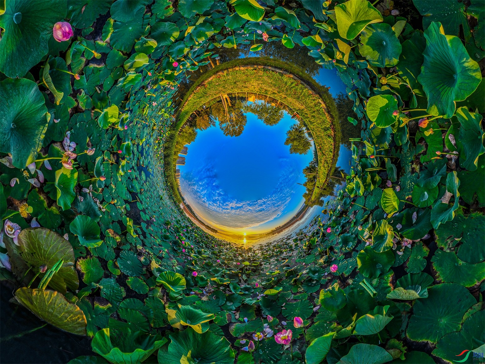 dji_export_20230718_194555_1689680755049_sphere_screenshot ����1.jpg