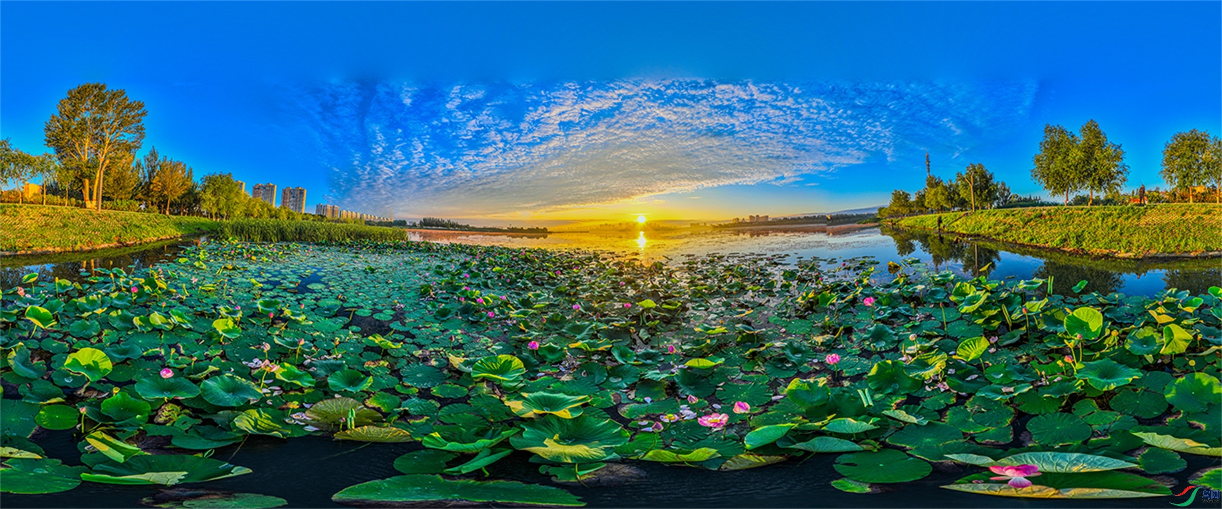 dji_fly_20230718_042938_572_1689680821930_pano ���� 2.jpg