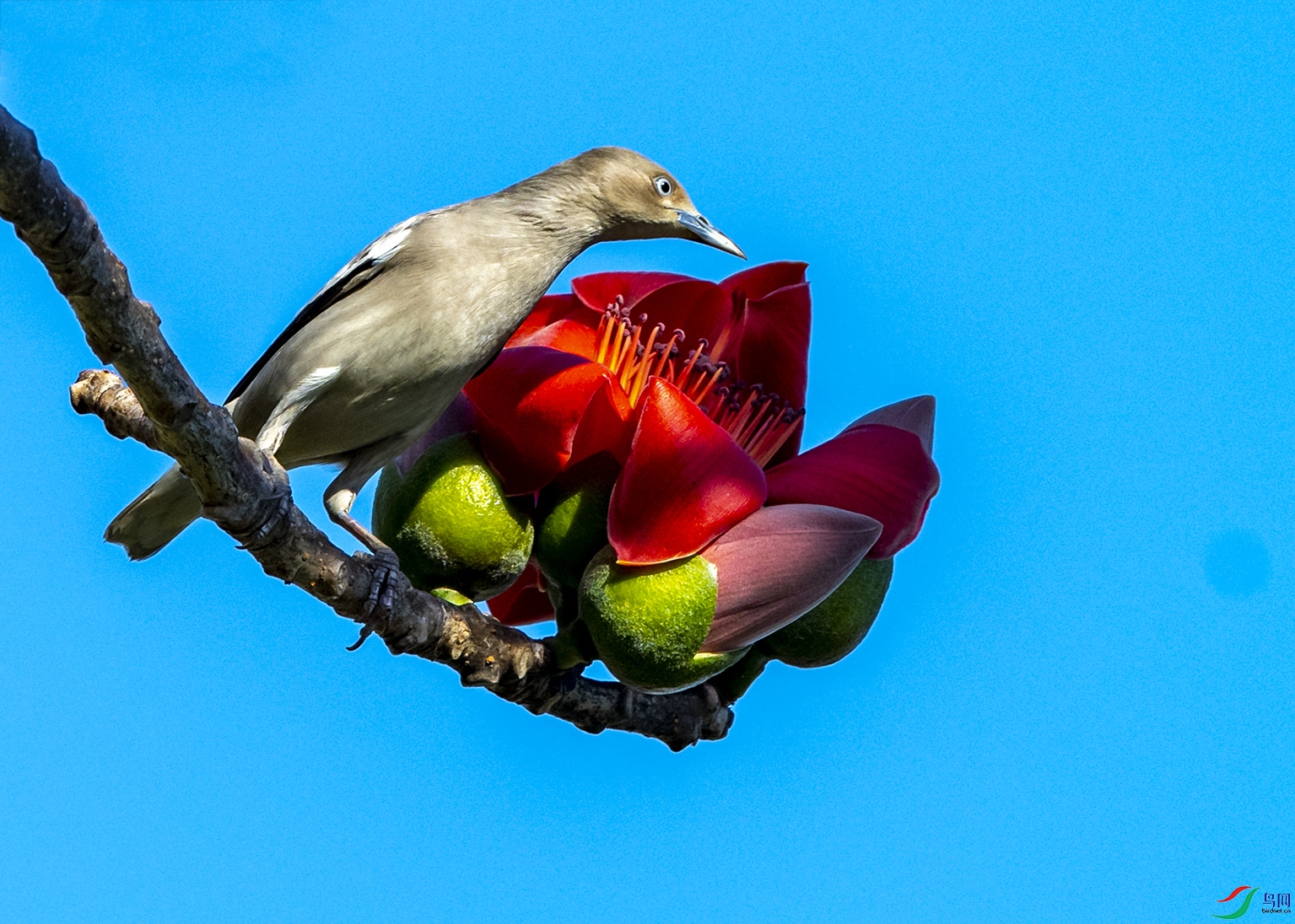 9346 ����.jpg