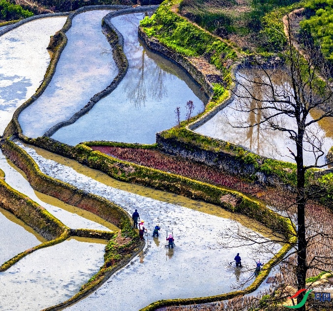 Ԫ������