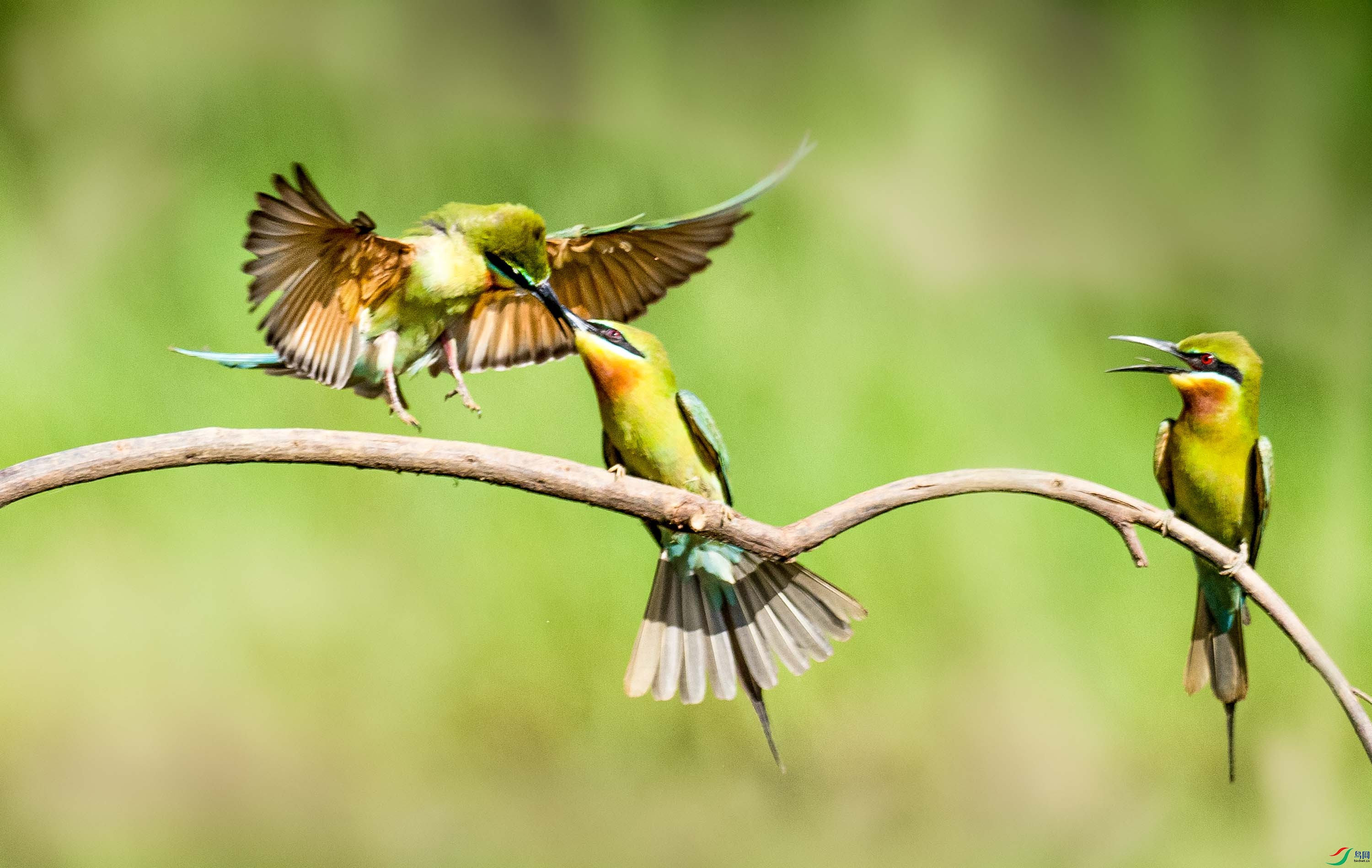 P5120350 ---����.jpg