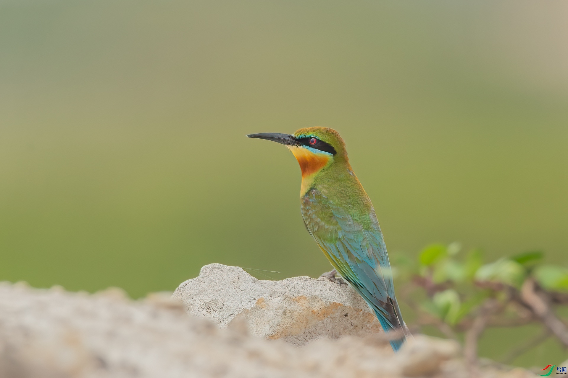 B86I4532 _����.jpg