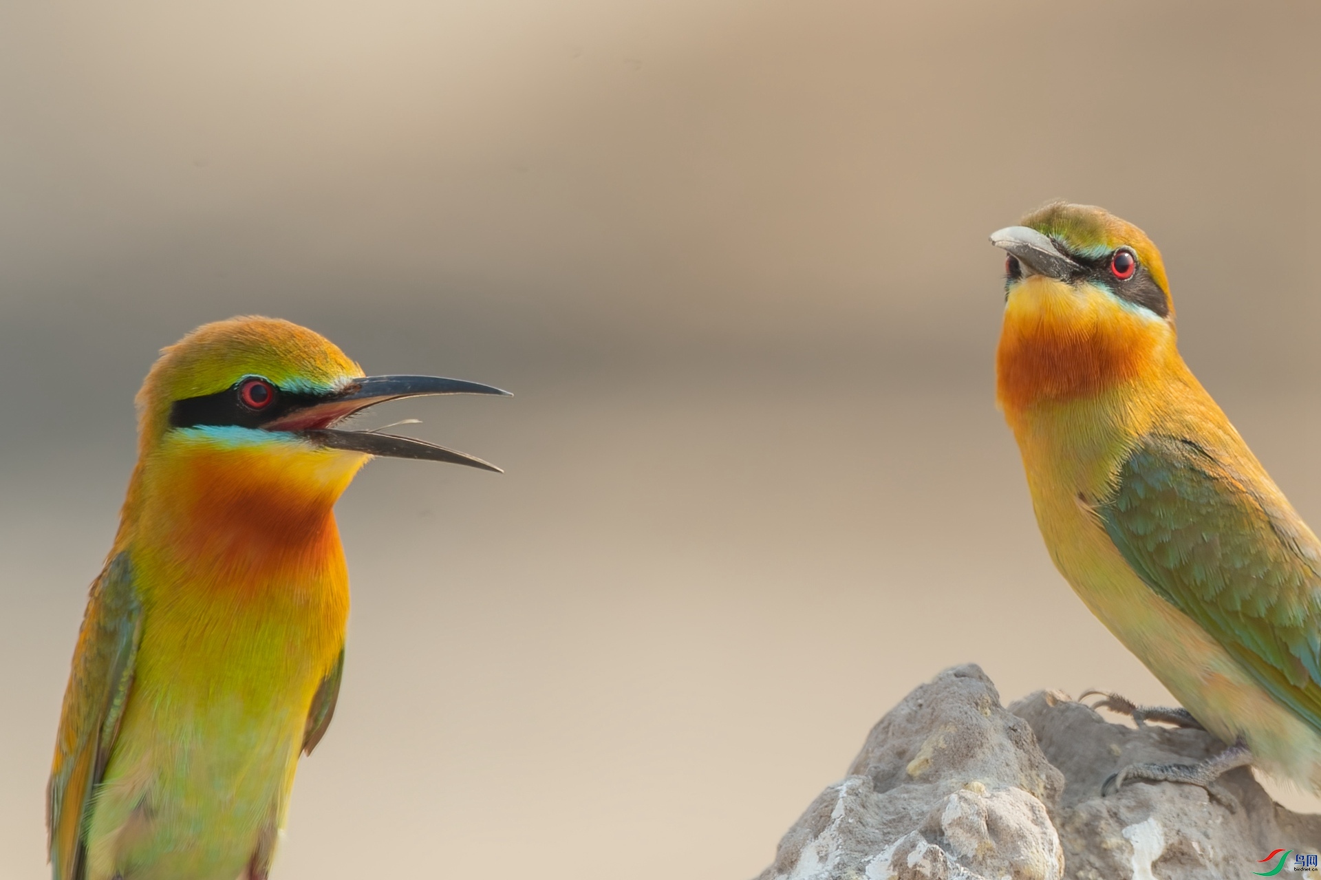 B86I6444 _����.jpg