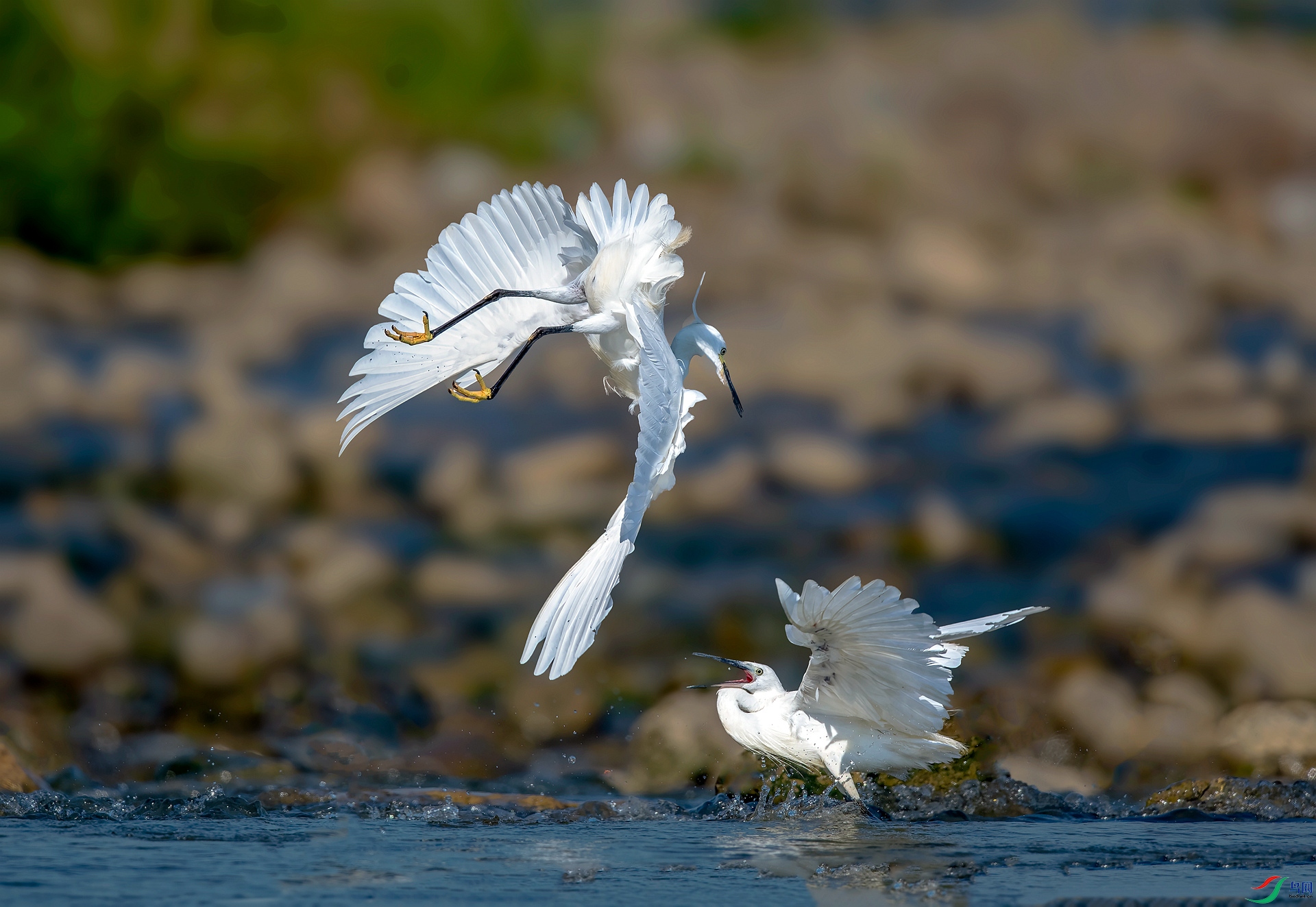 DSC_1835 ����c_����.jpg