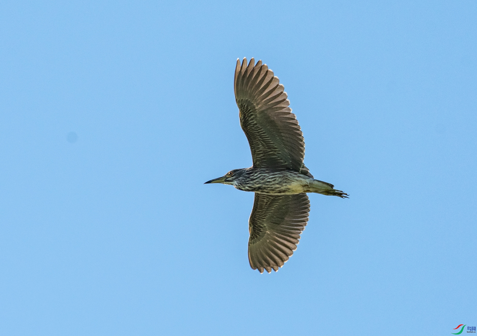 DSC_3309.jpg