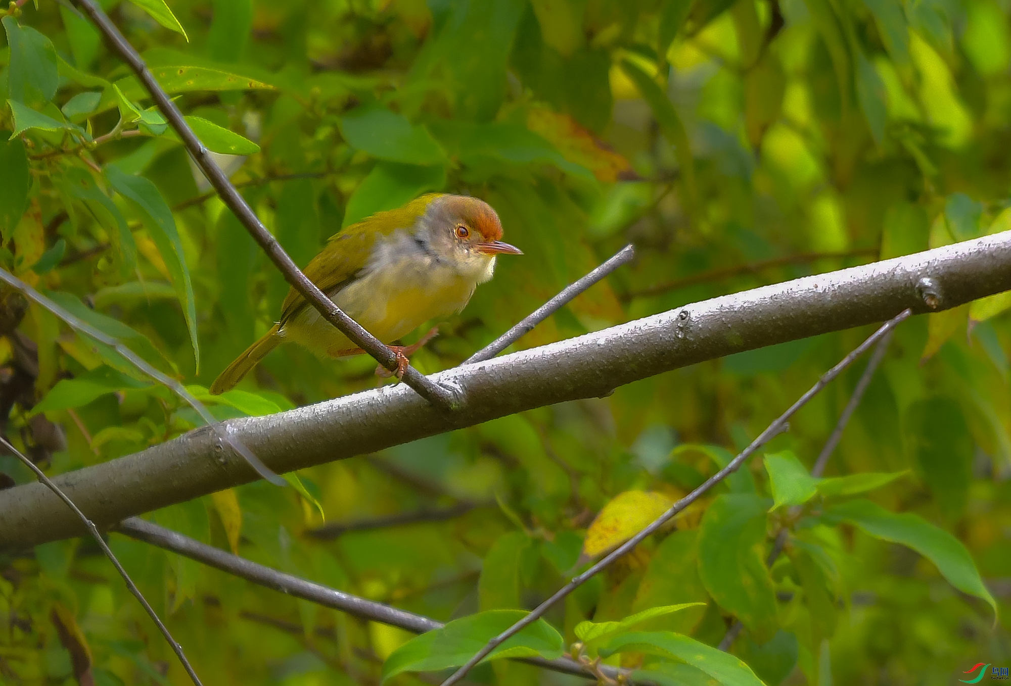 DSC_9089.JPG