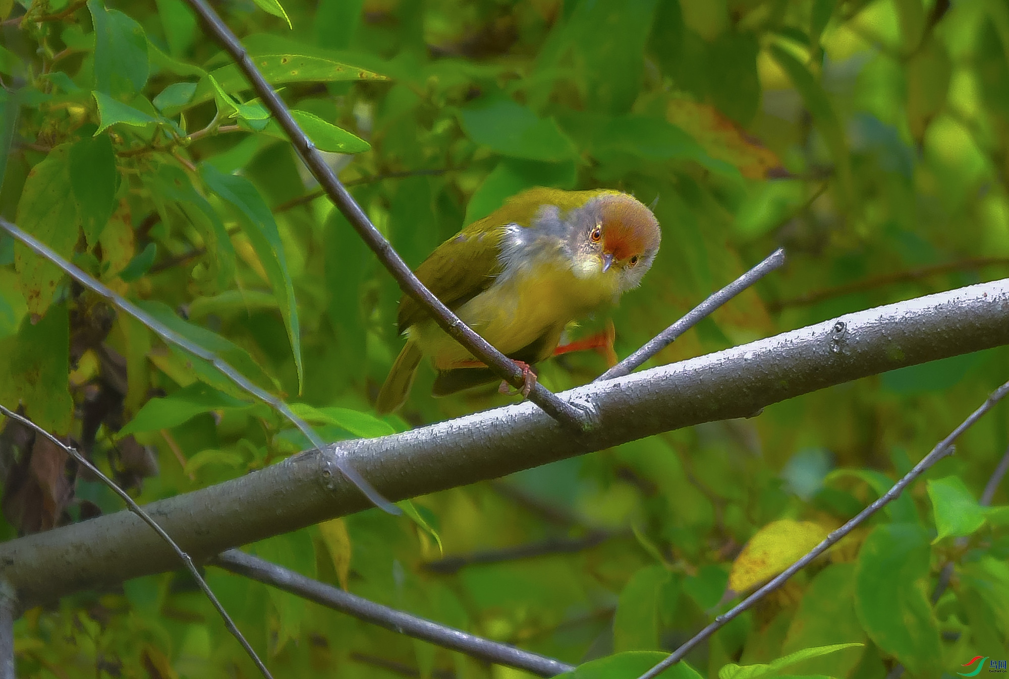 DSC_9087.JPG