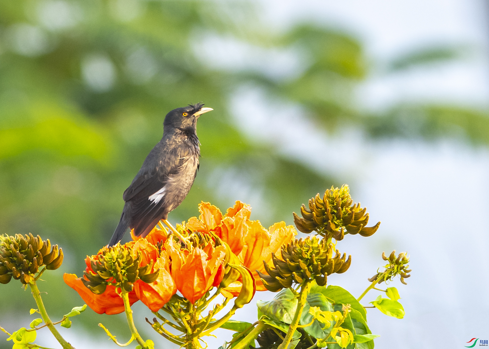 8394 ����.jpg