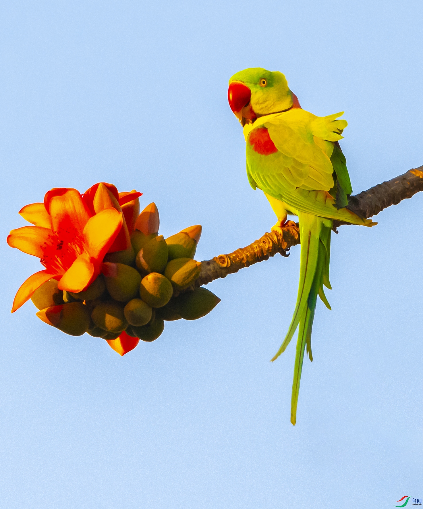 7404 ����.jpg