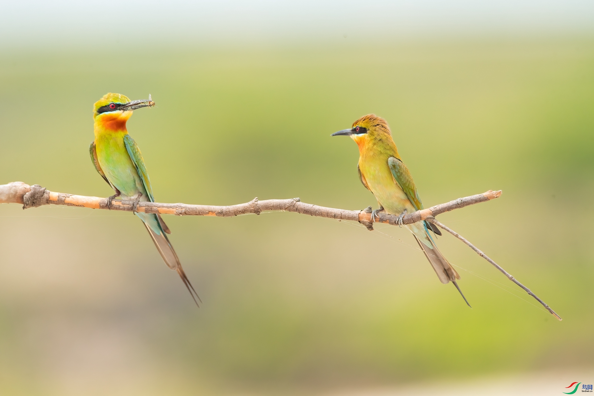 B86I4848 _����.jpg