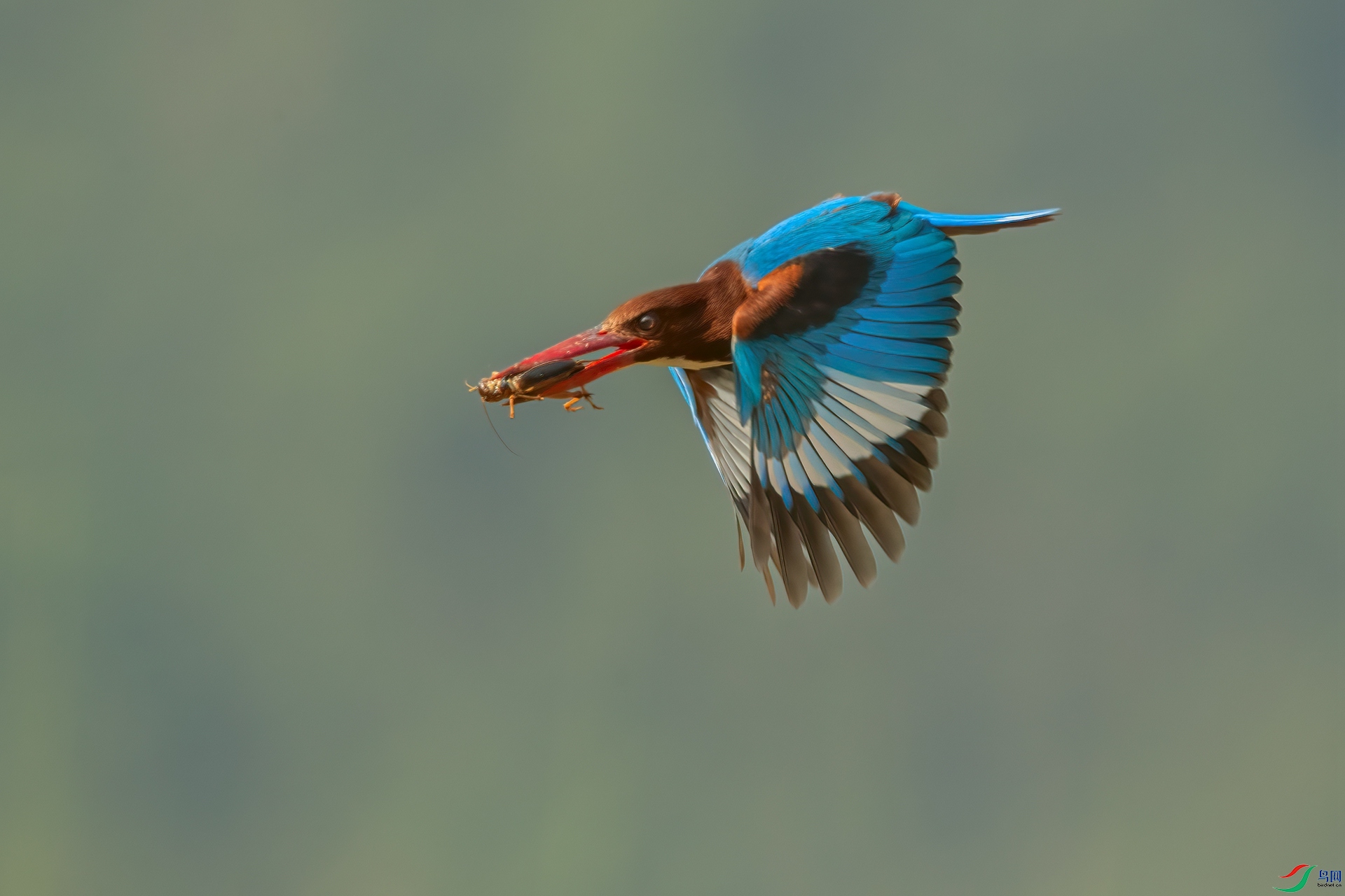 B86I5782 _����.jpg