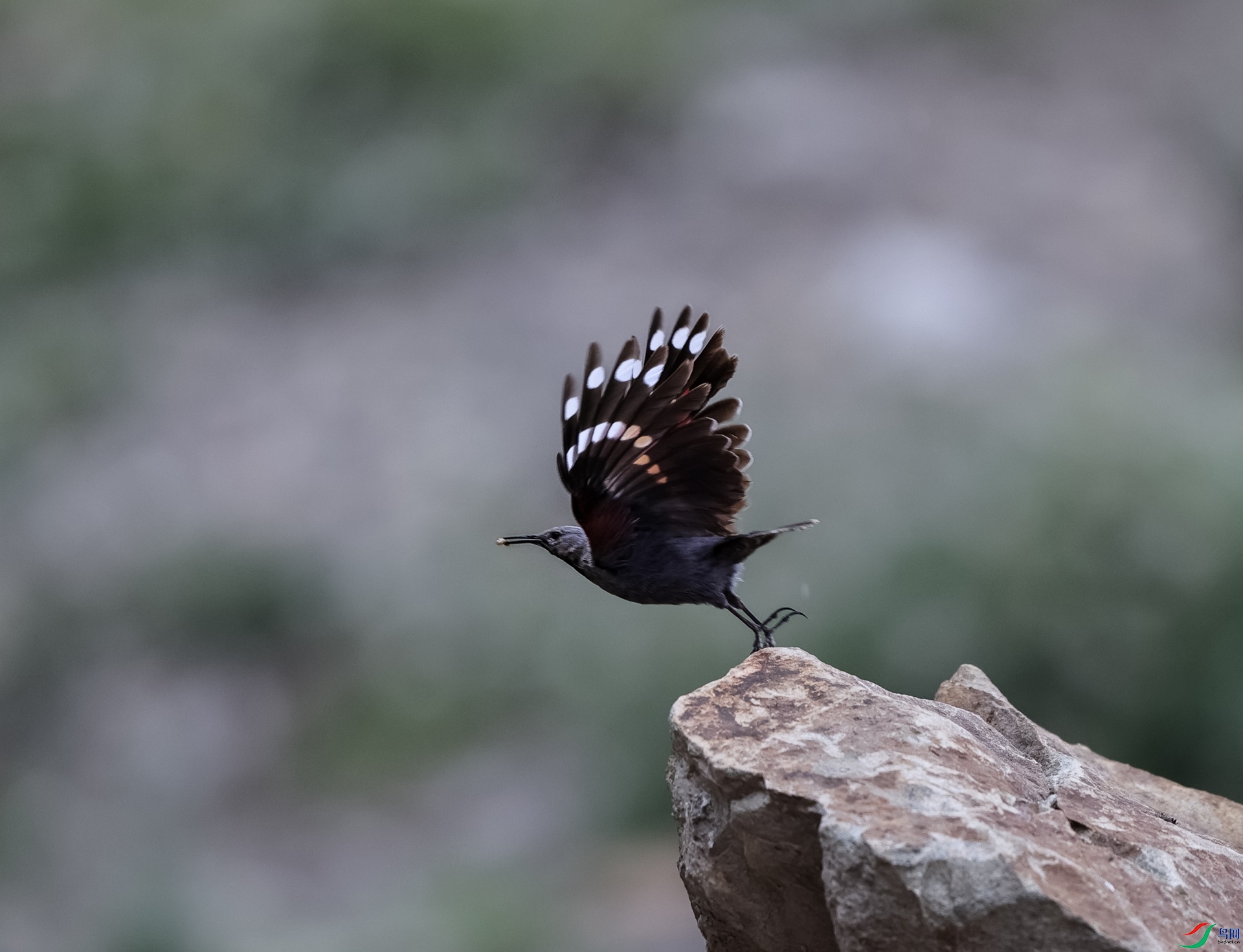 �������ȸ - ����.JPG