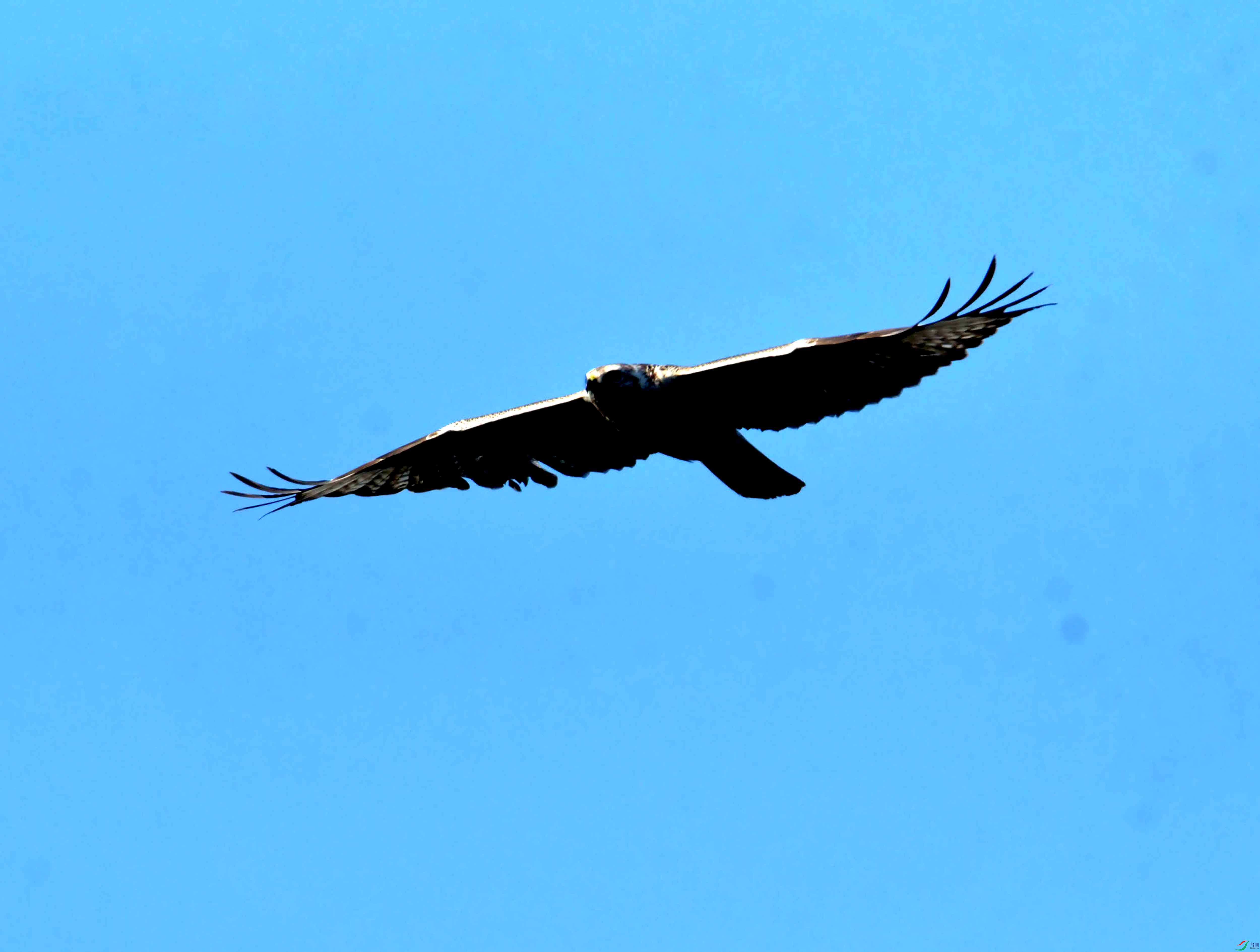 DSC_2502.JPG