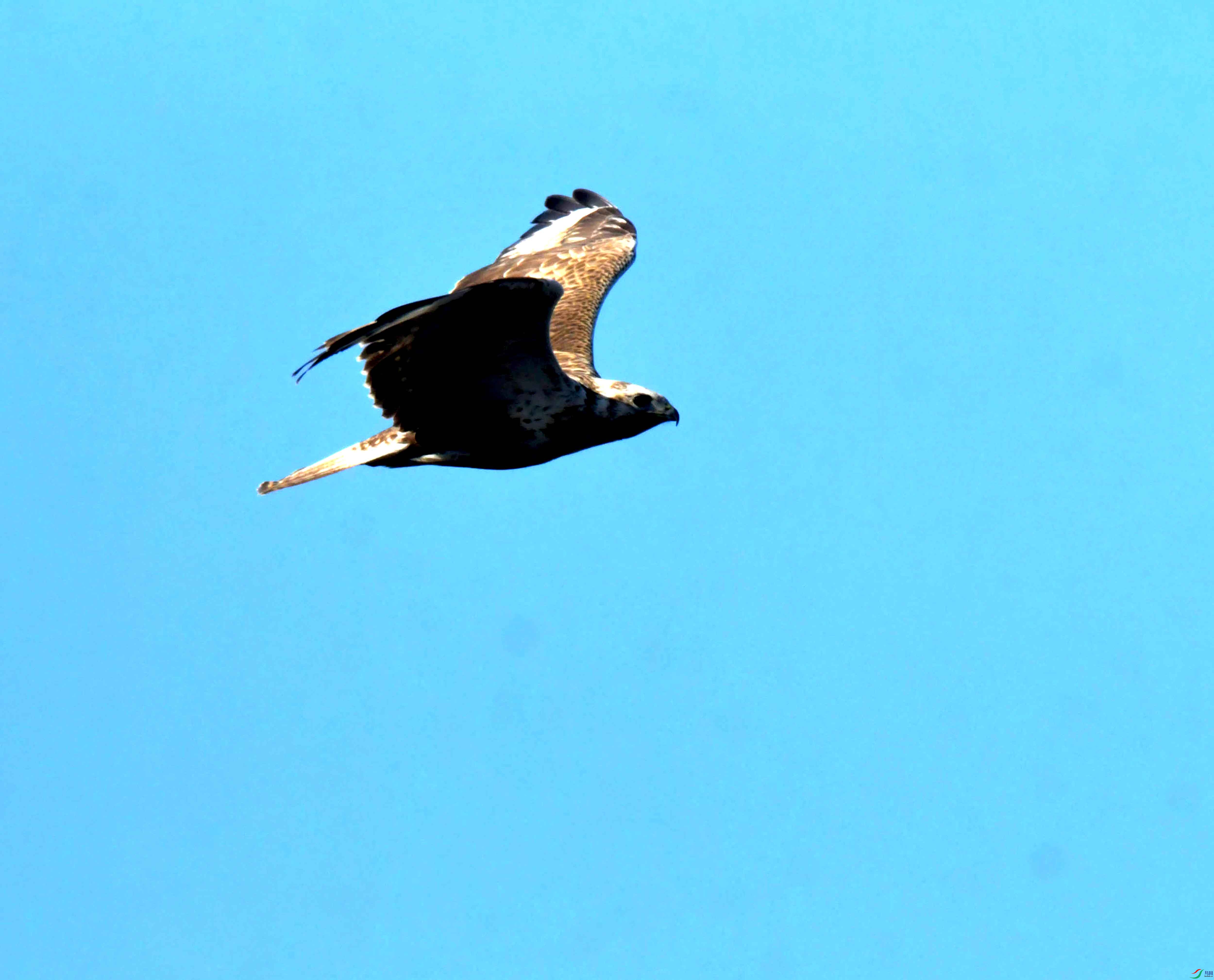 DSC_2508.JPG