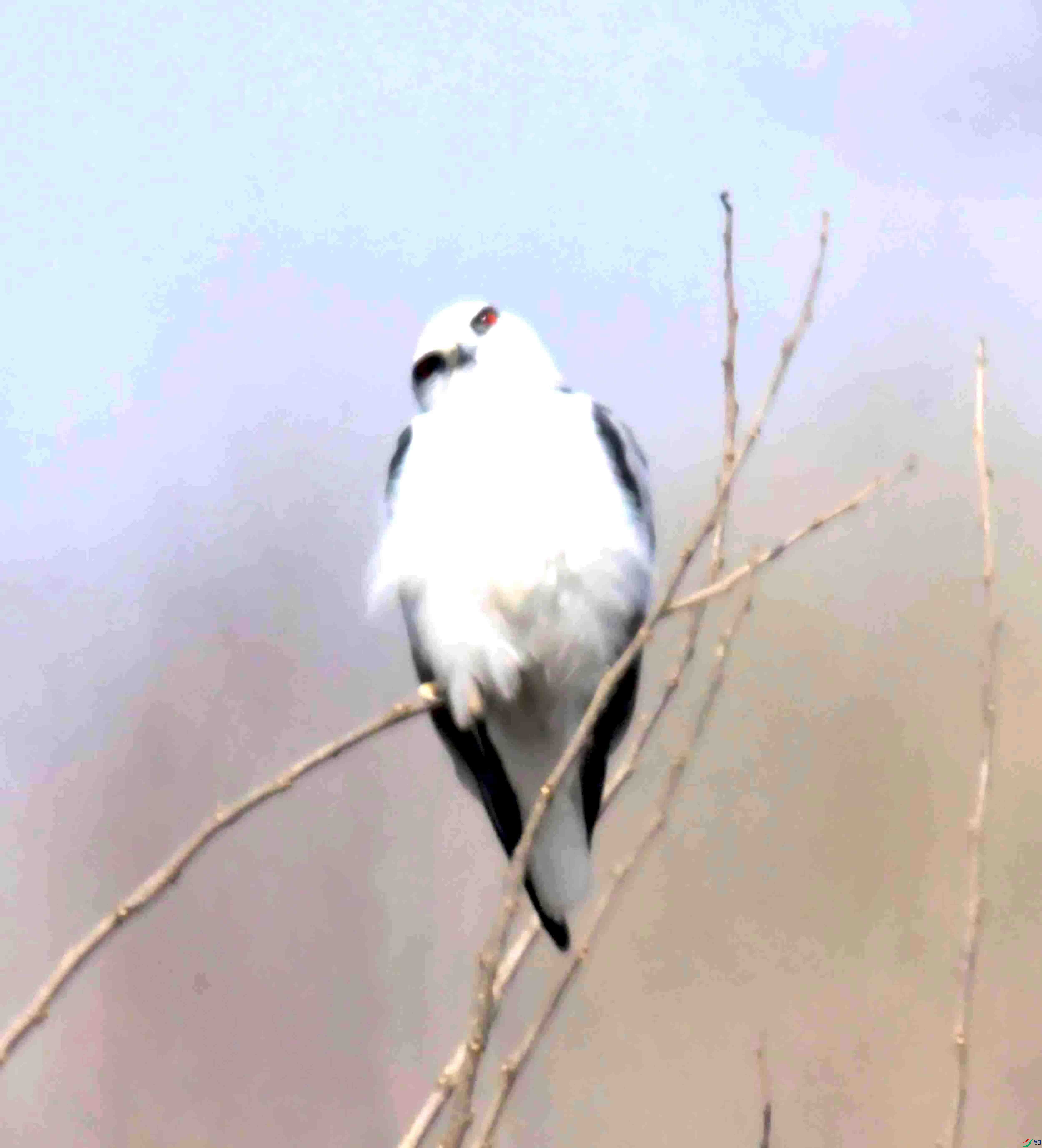 DSC_3992.JPG