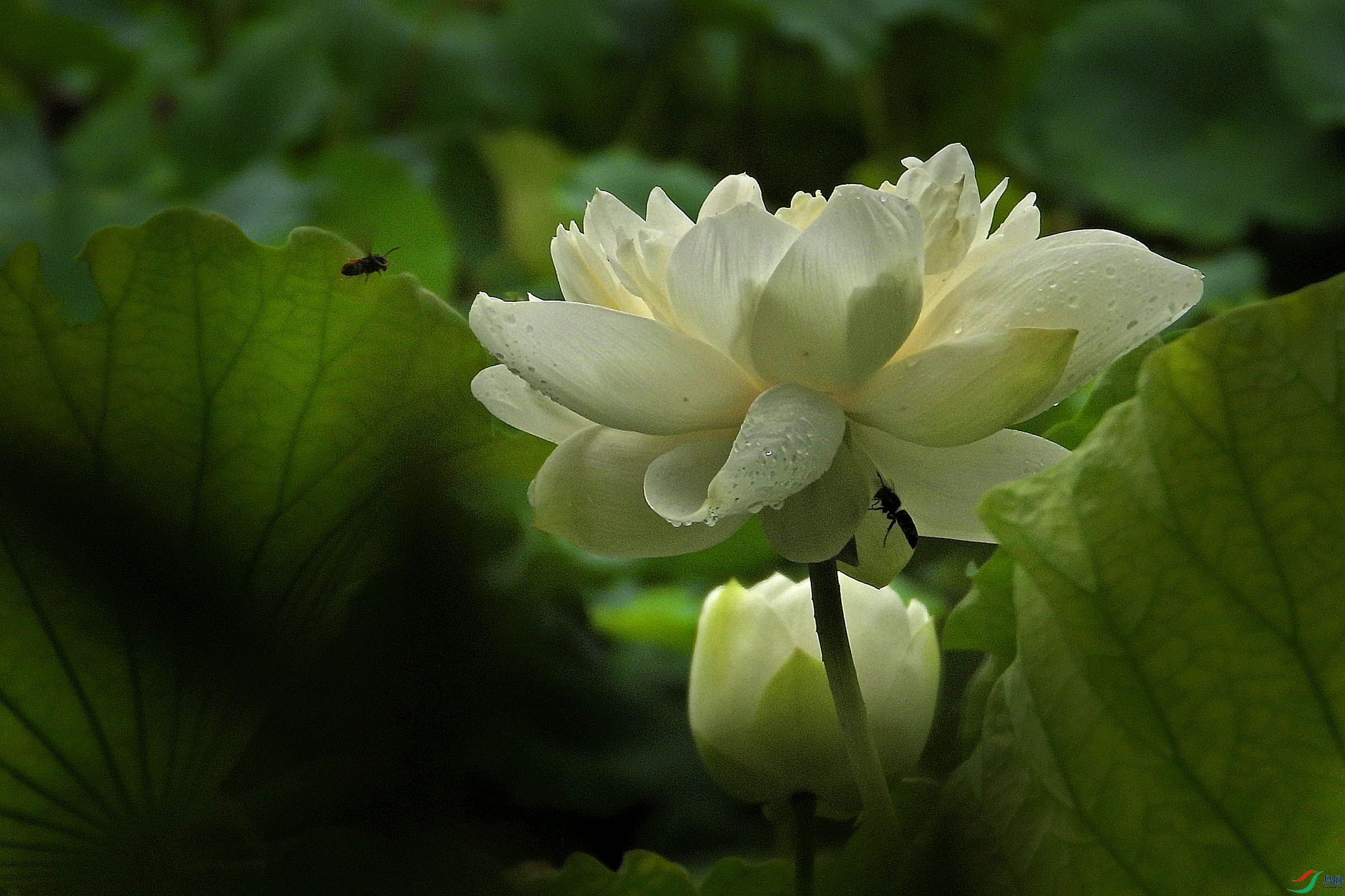 DSCN7358.JPG