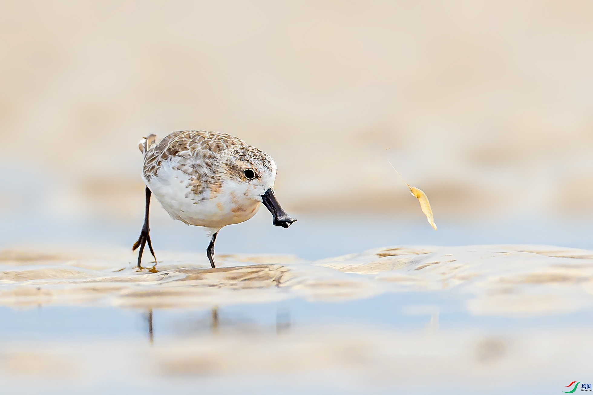 _������ (2).jpg