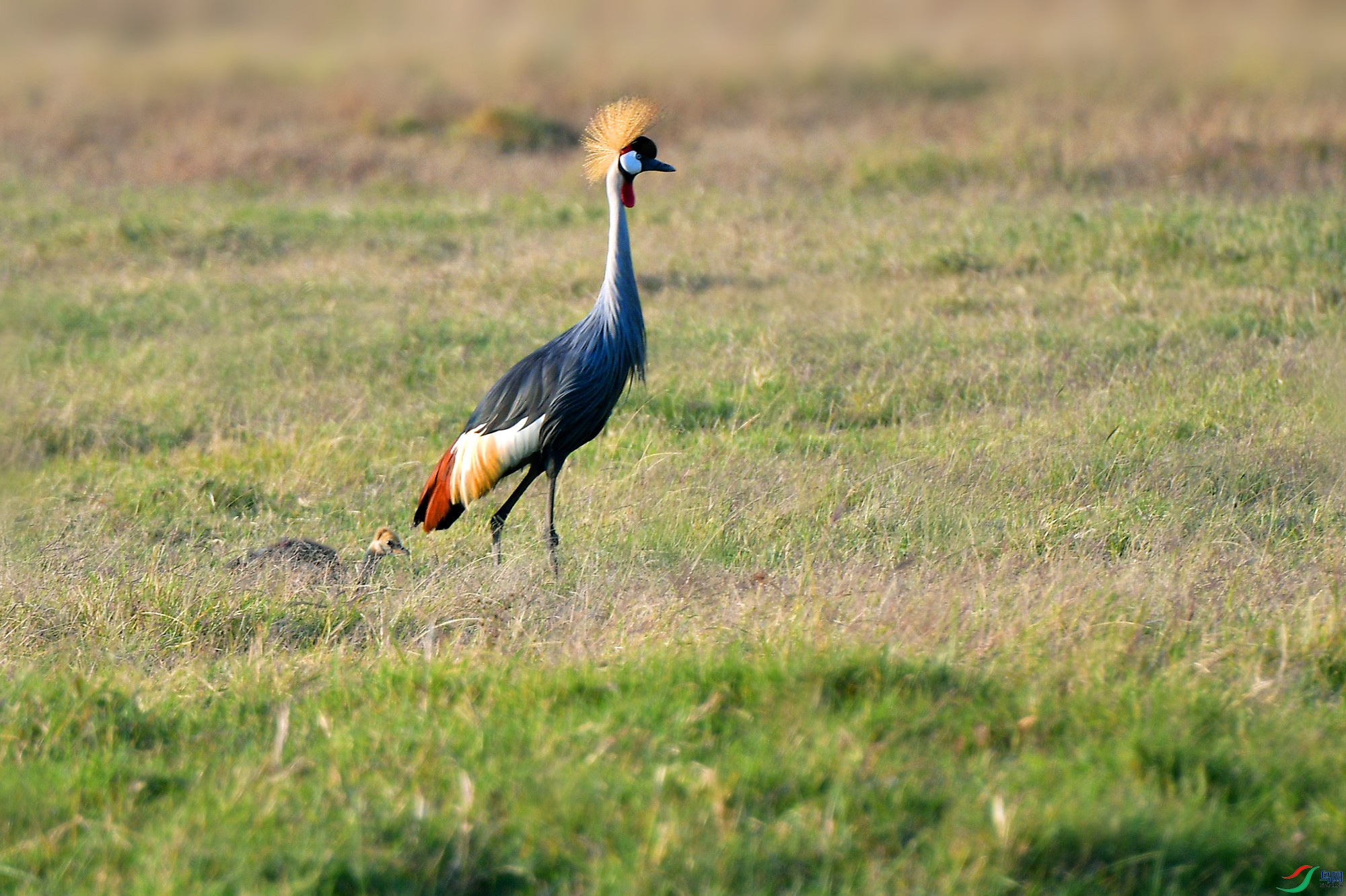 DSC_7015_.jpg