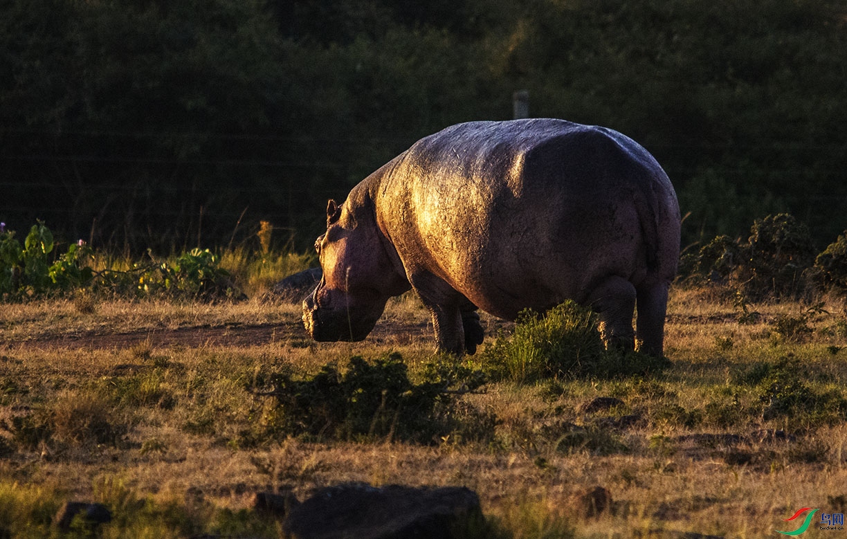 DSC_5937.jpg
