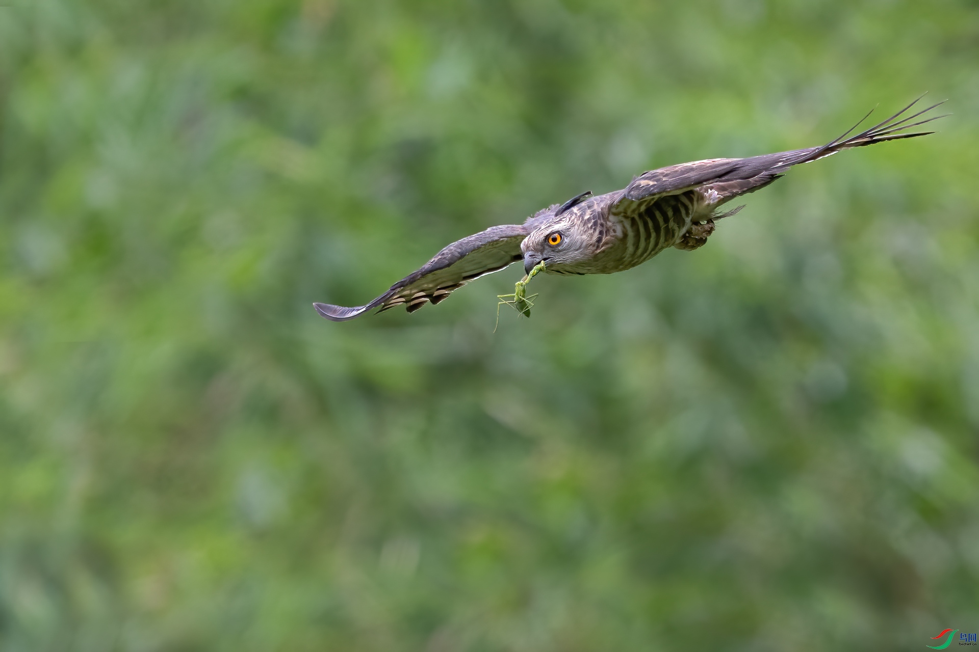DSC_1574.jpg