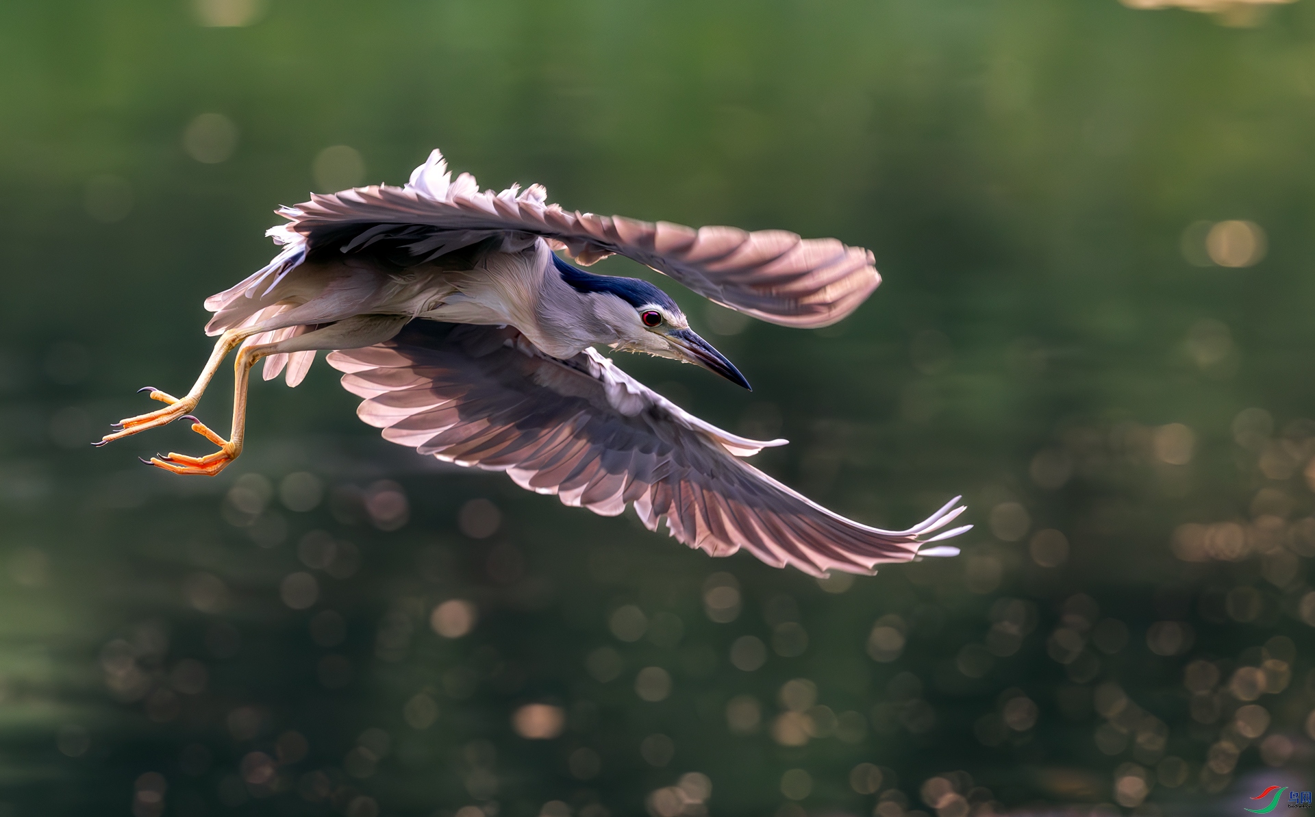 ����ǰ��