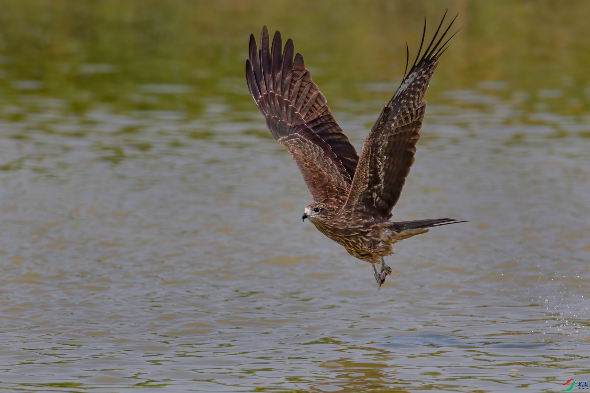 DSC_0616.jpg