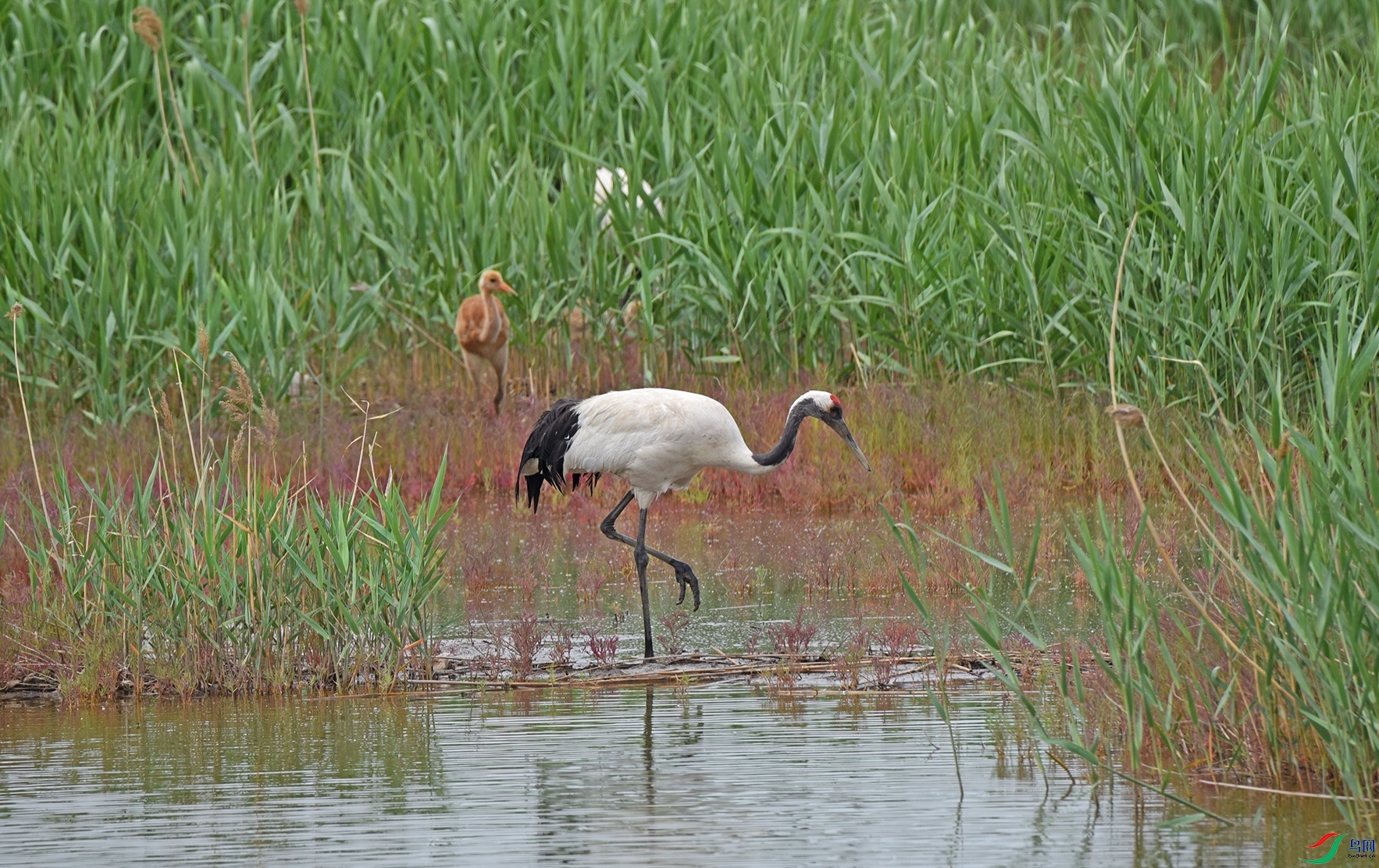 DSC_3609.jpg